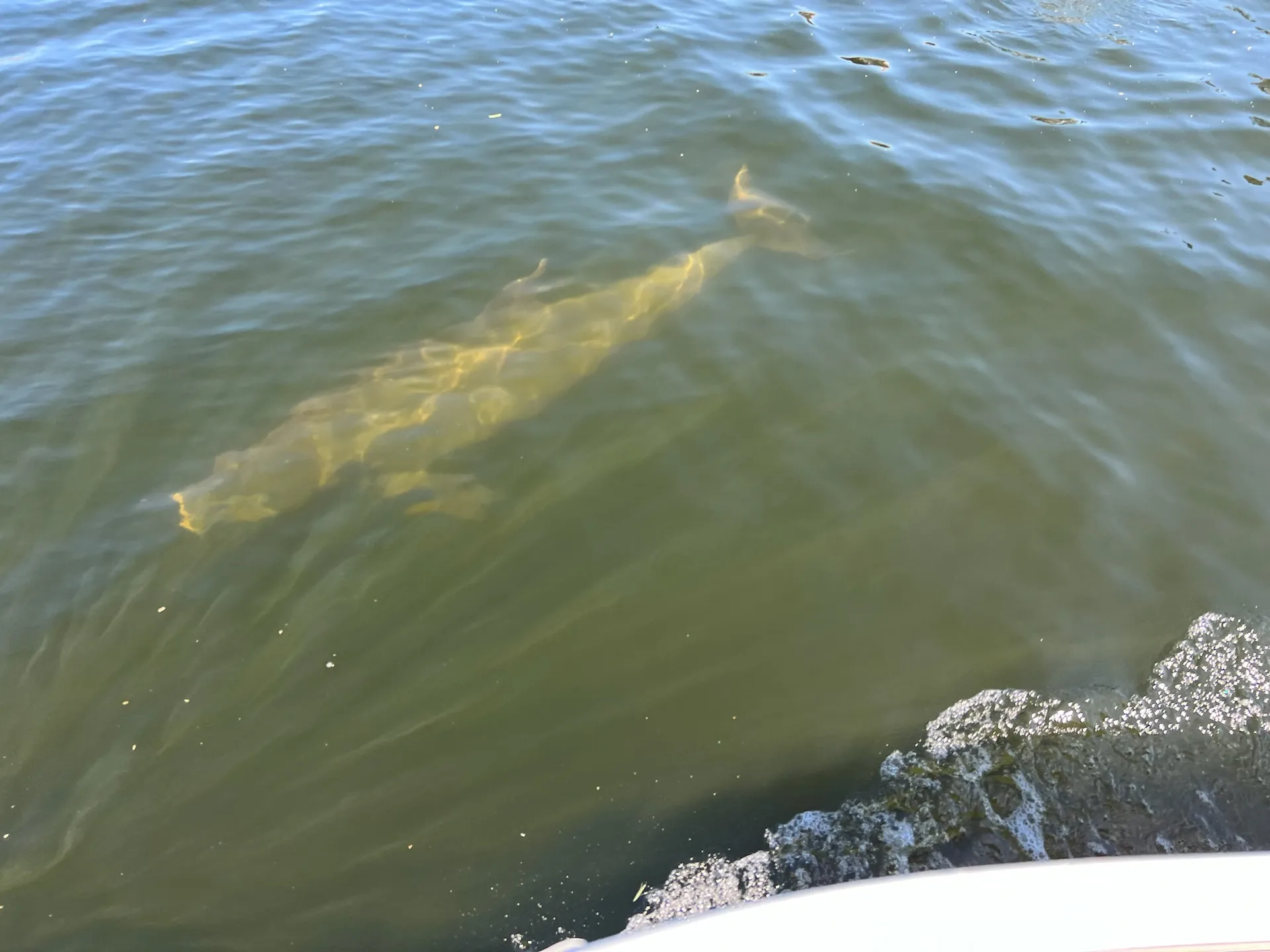 Hurricane Boats SDS 232 in Belleair Bluffs, FL — photo 6