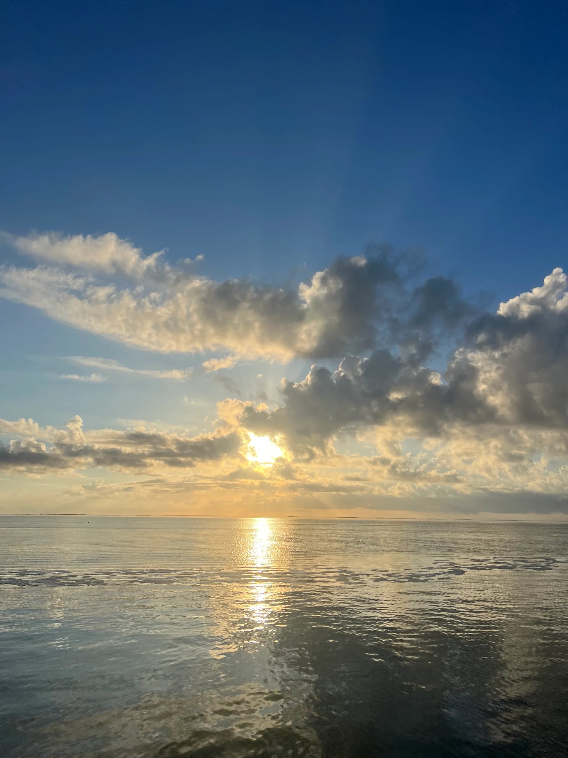 South Texas Pontoon Tours – Cruising, Fishing, and Dolphin Watching