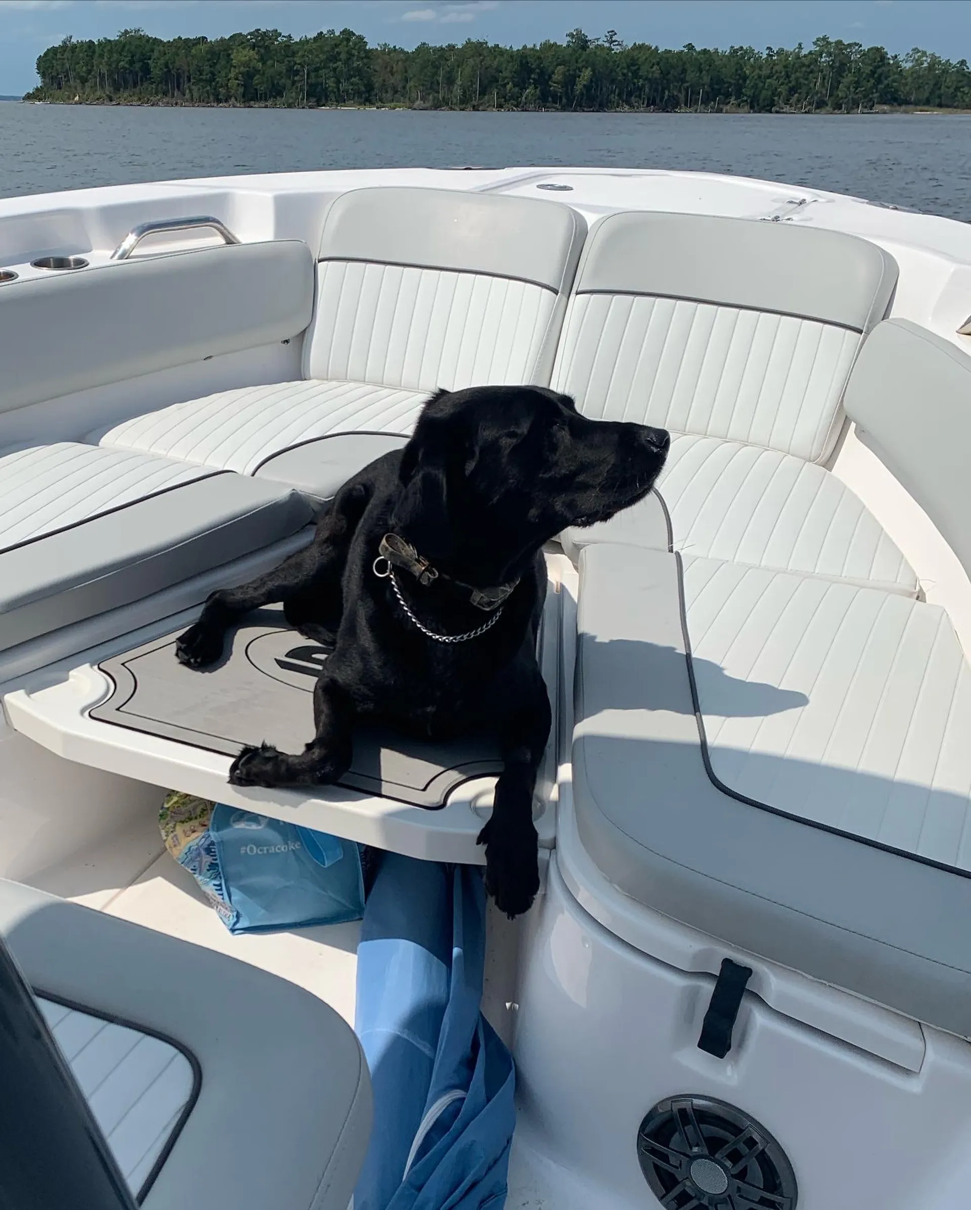 SEA FOX 248 COMMANDER W/ YAMAHA F250XB in Arapahoe, NC — photo 8