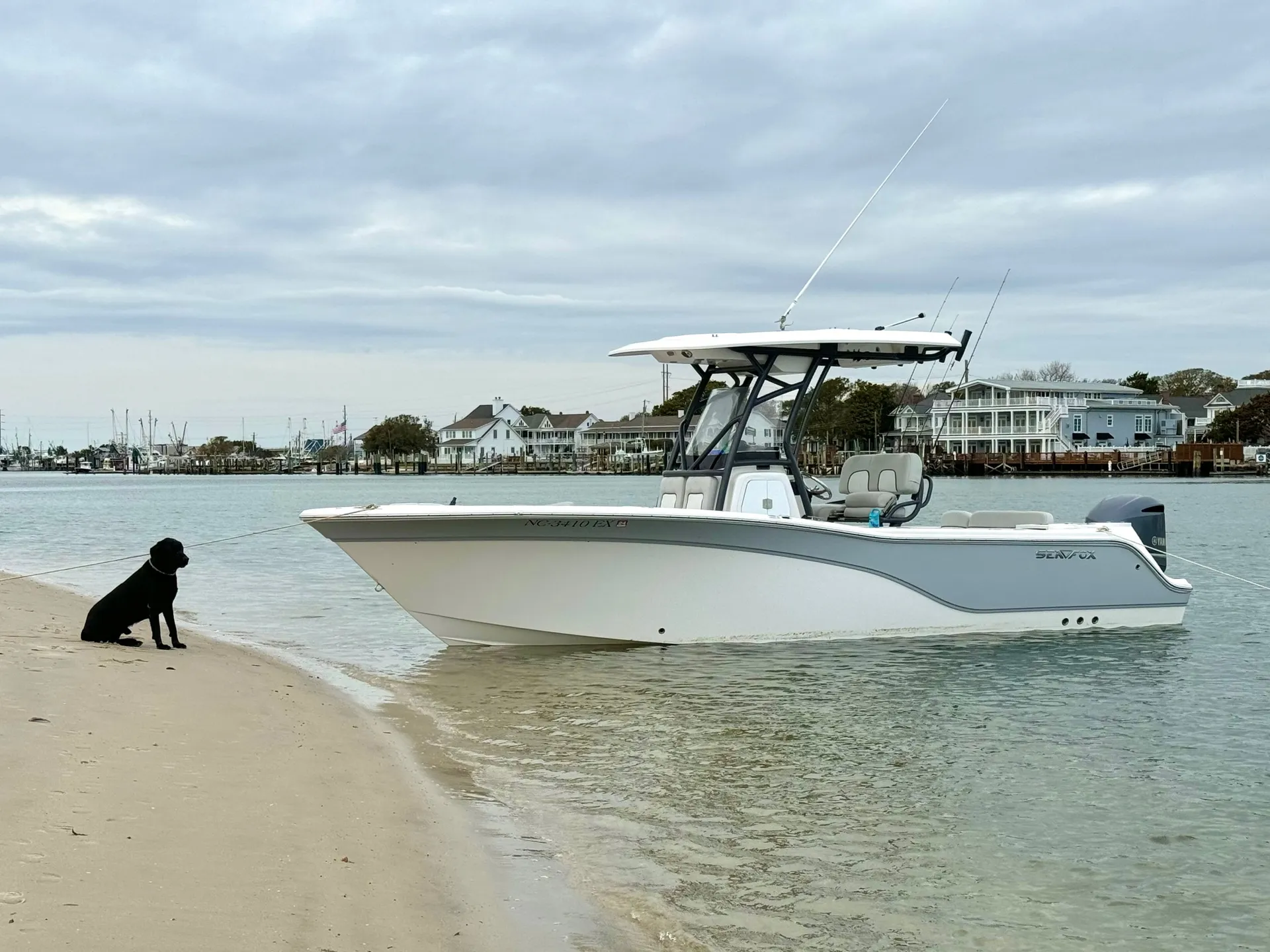 boat