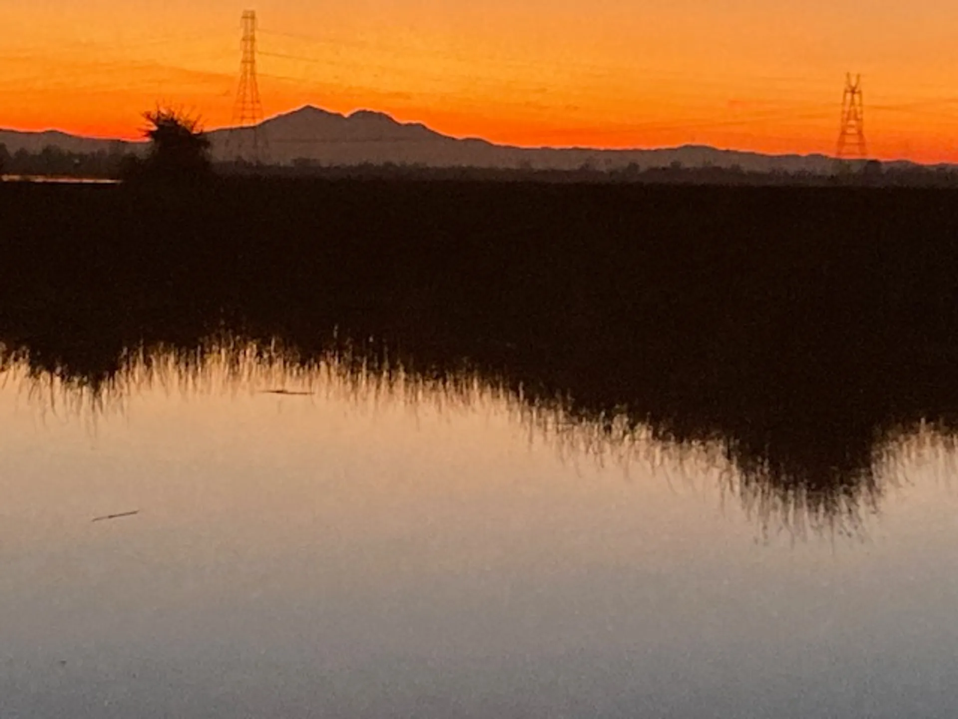 Cruise The Delta on a Classy 42' Sabre Yacht