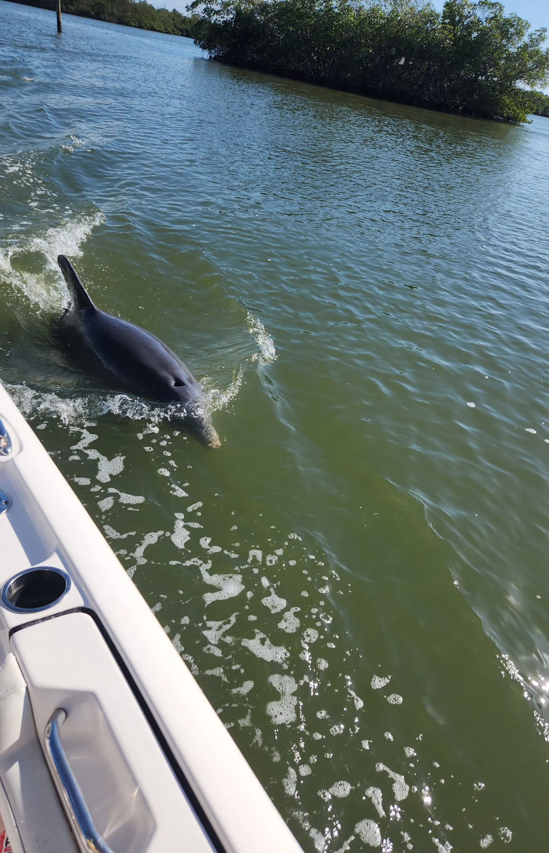 Boat Tours- Bonita Springs / Fort Myers Beach FL