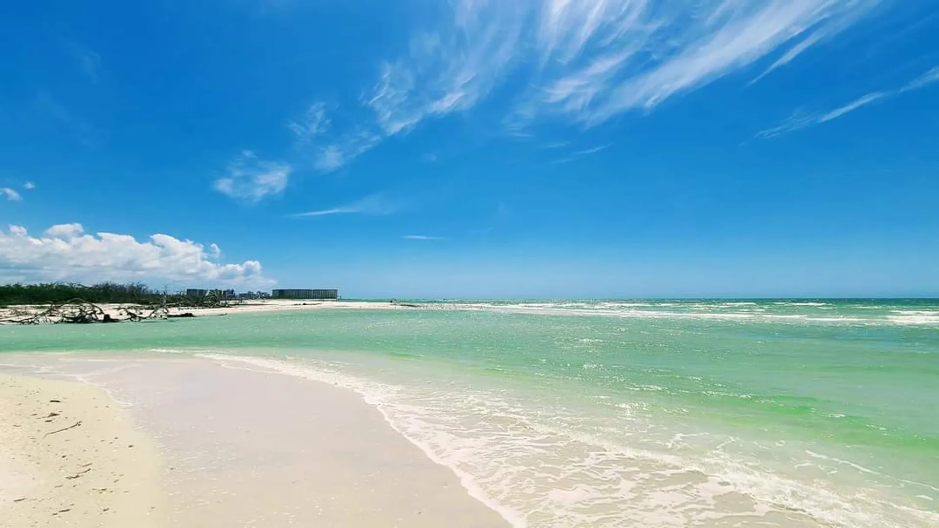 Boat Tours- Bonita Springs / Fort Myers Beach FL