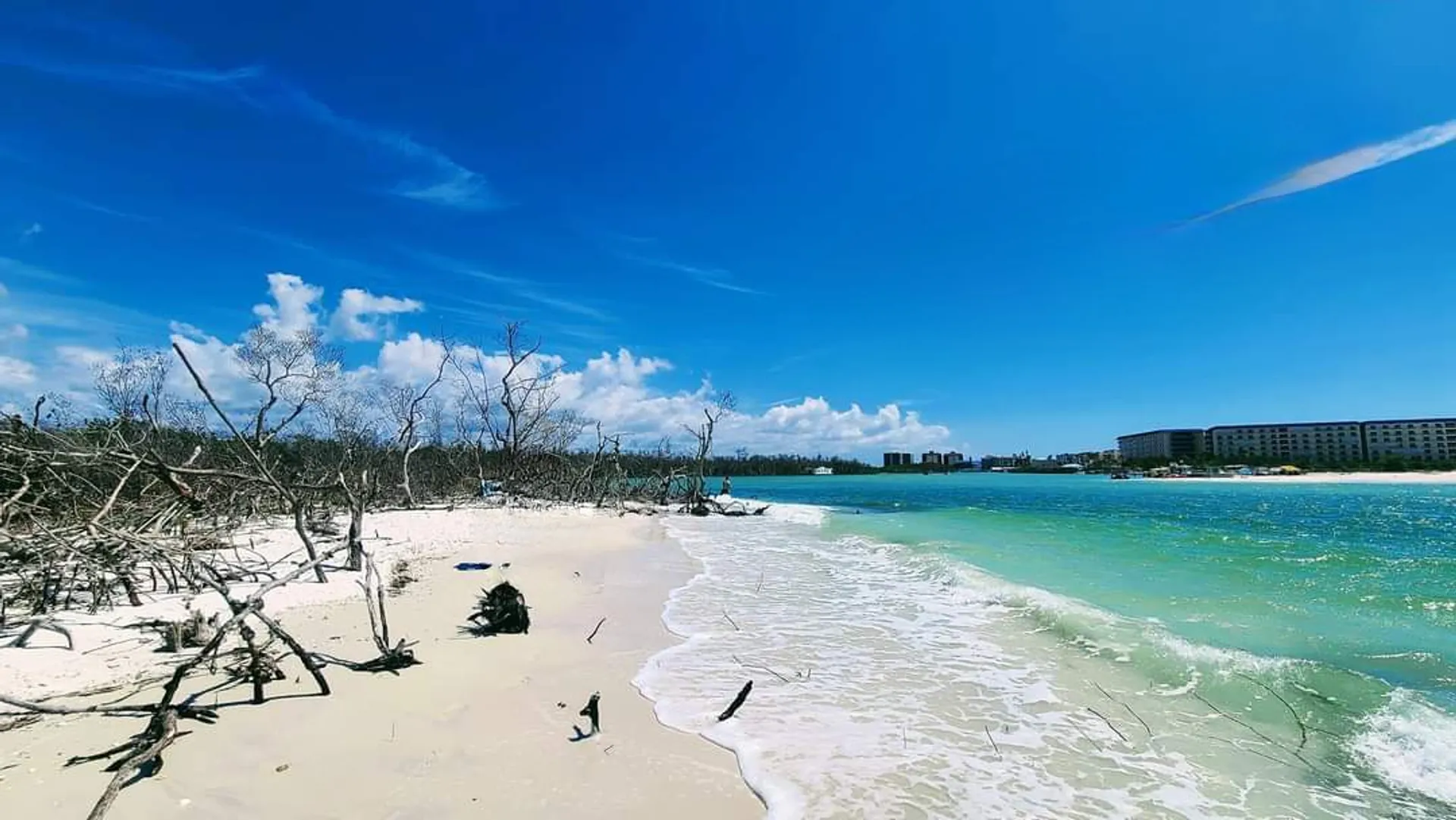 Boat Tours- Bonita Springs / Fort Myers Beach FL