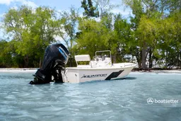 18ft Aquasport Center Console 115hp outboard!