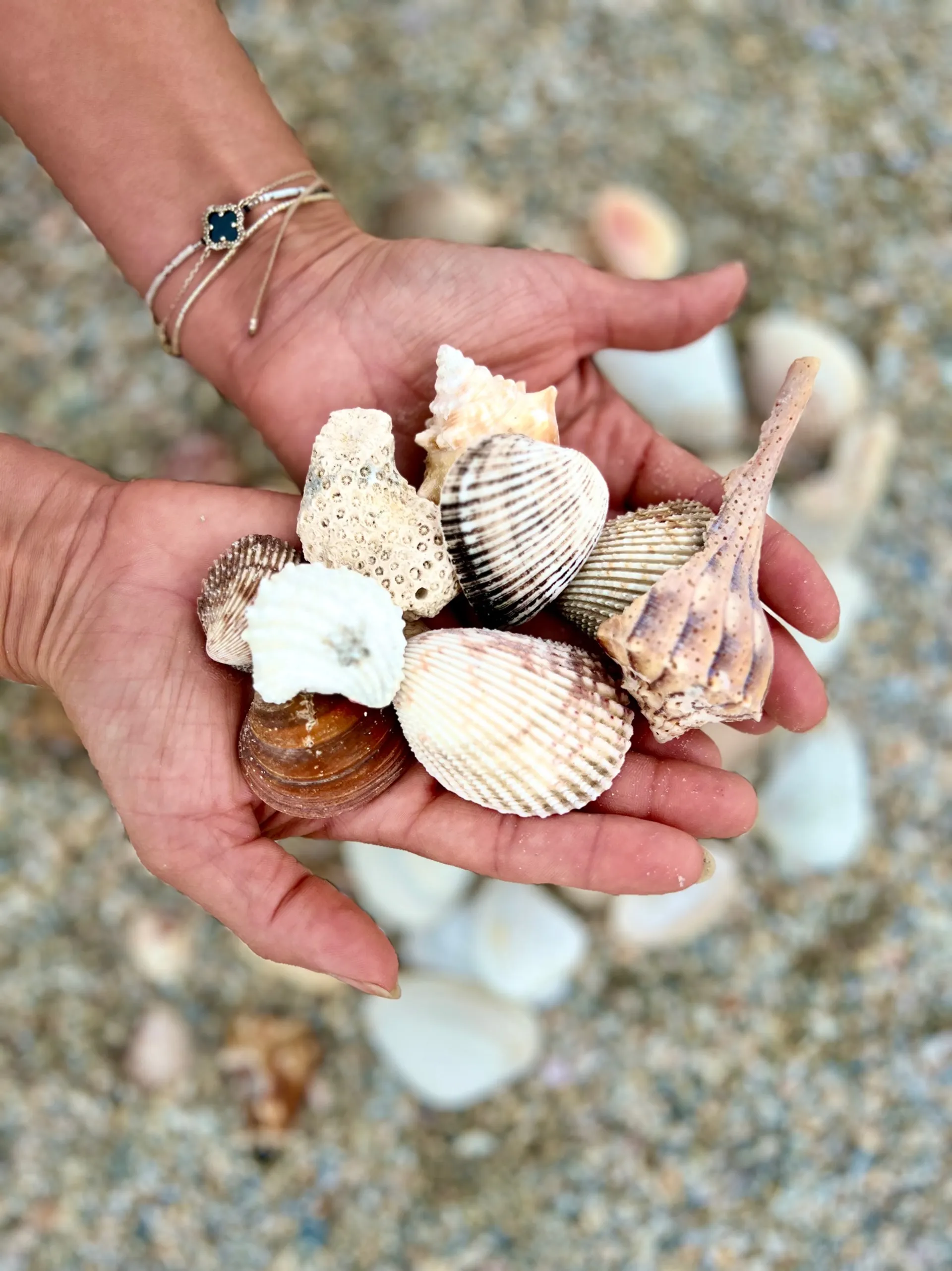 Super Comfy 22’ Pontoon In Bradenton / fuel Included!