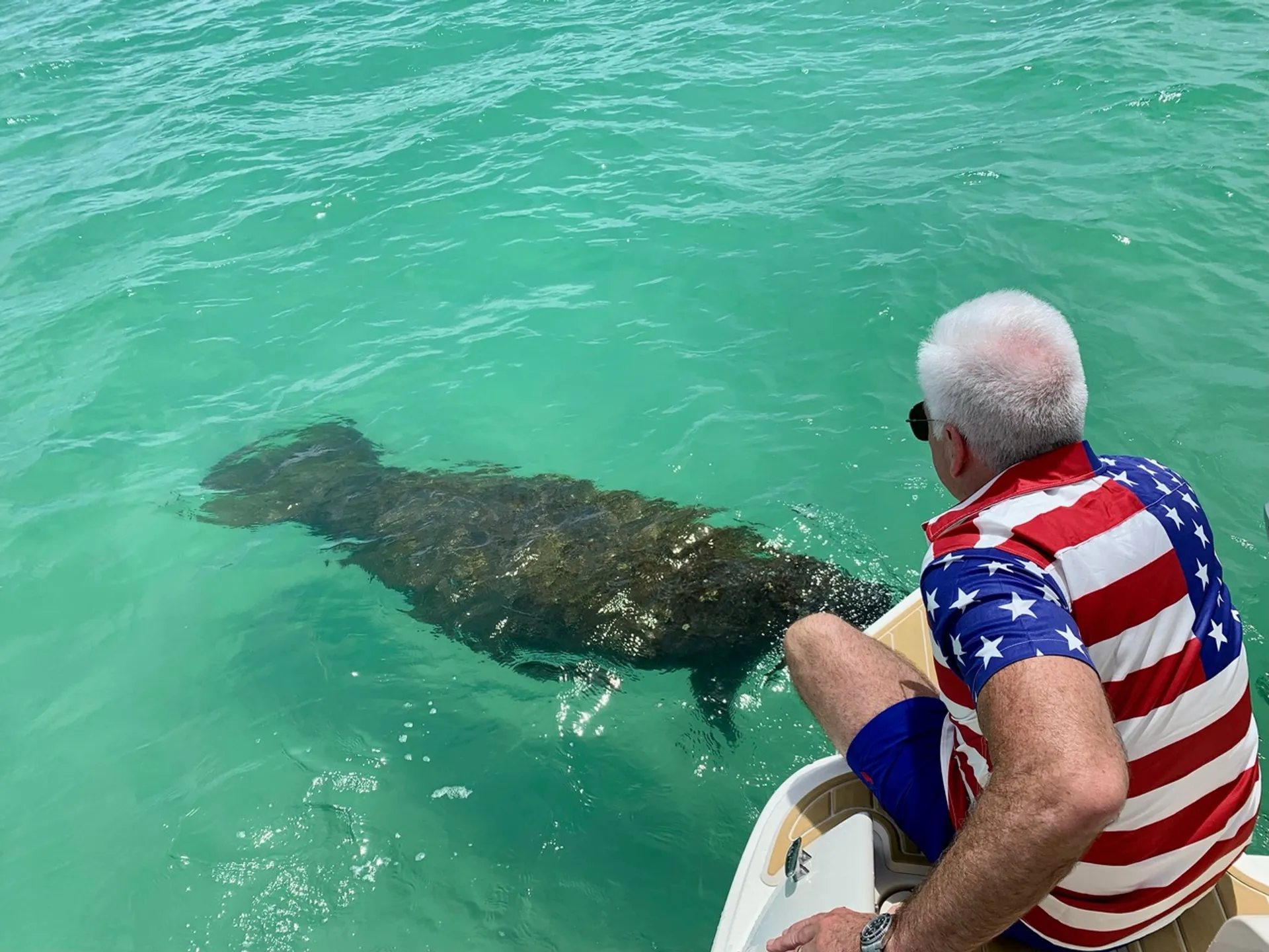 Top Shelf | Sarasota’s Ultimate 38’ Sea Ray Experience