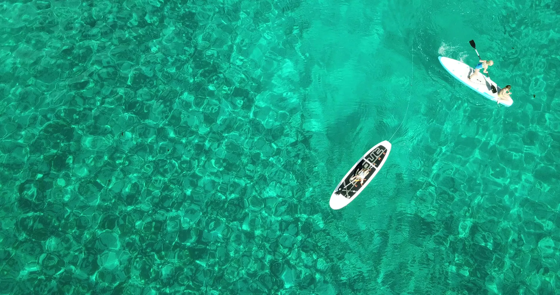 Private Luxury 50' Catamaran - Snorkelling, Sunset, Sailing, Dolphins!