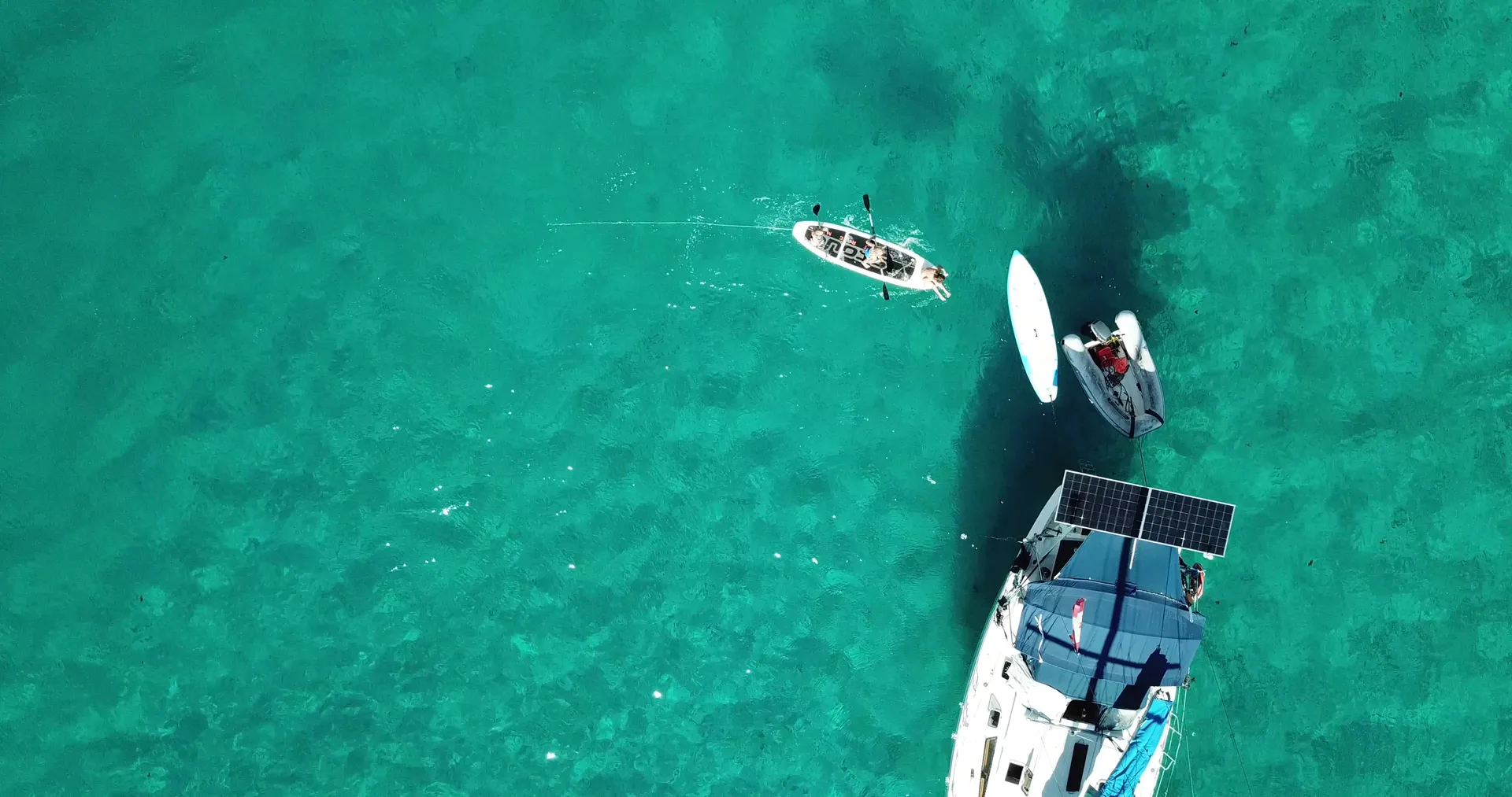 Private Luxury 50' Catamaran - Snorkelling, Sunset, Sailing, Dolphins!