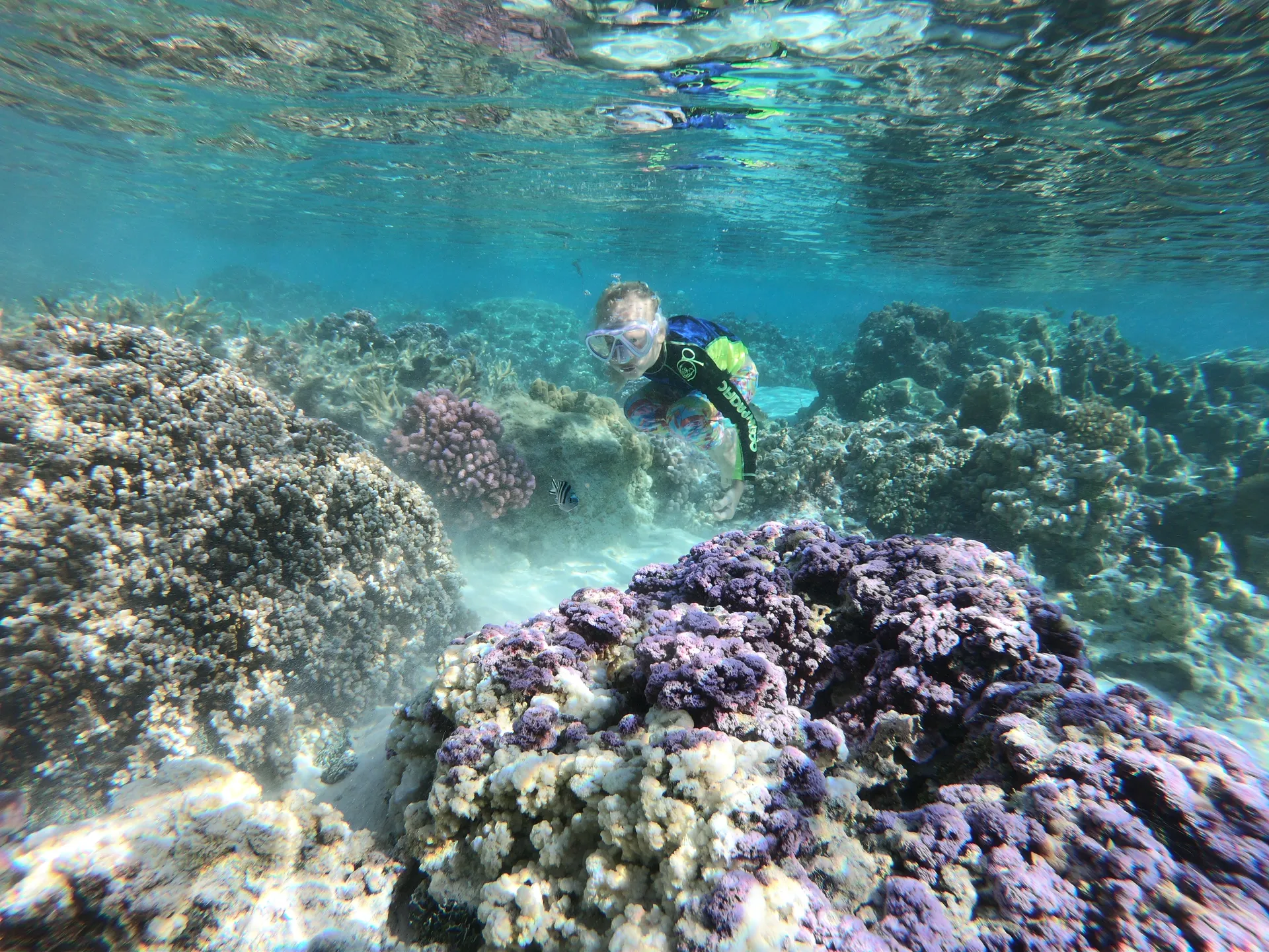 Private Luxury 50' Catamaran - Snorkelling, Sunset, Sailing, Dolphins!