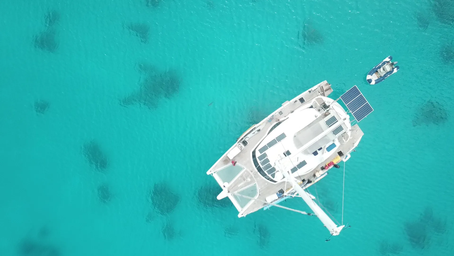 Private Luxury 50' Catamaran - Snorkelling, Sunset, Sailing, Dolphins!