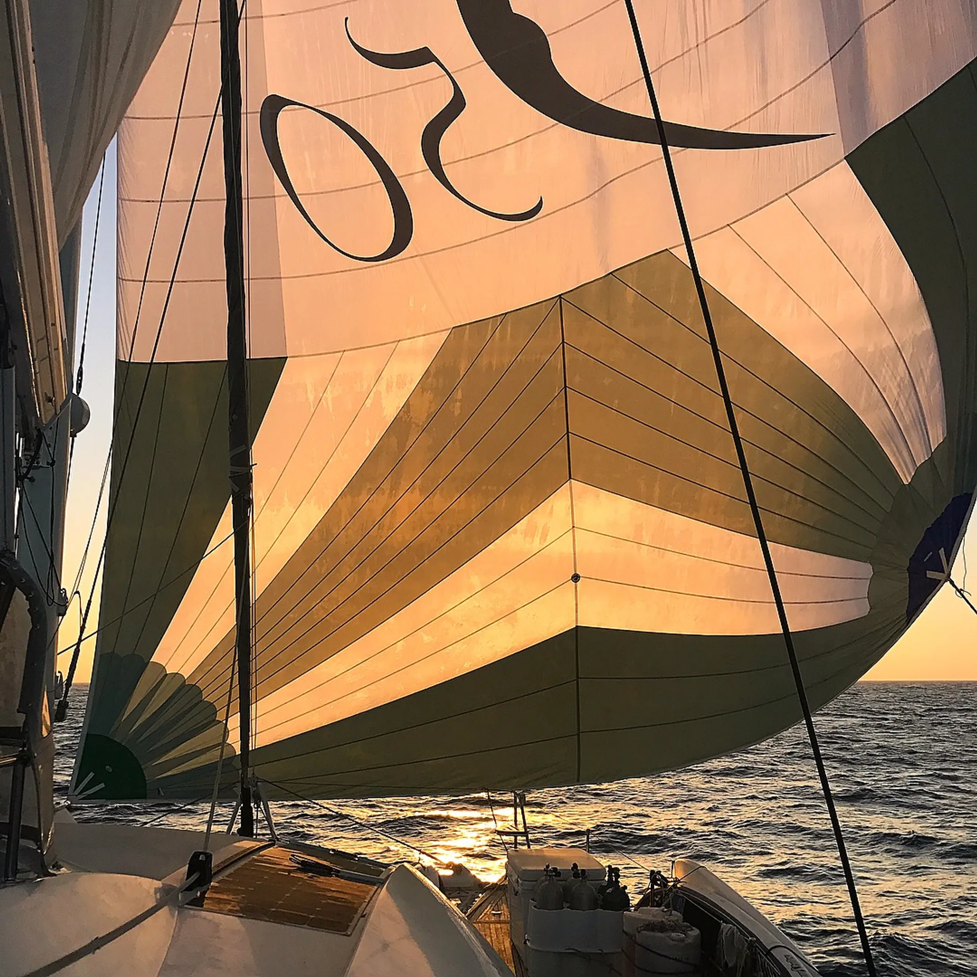 Private Luxury 50' Catamaran - Snorkelling, Sunset, Sailing, Dolphins!