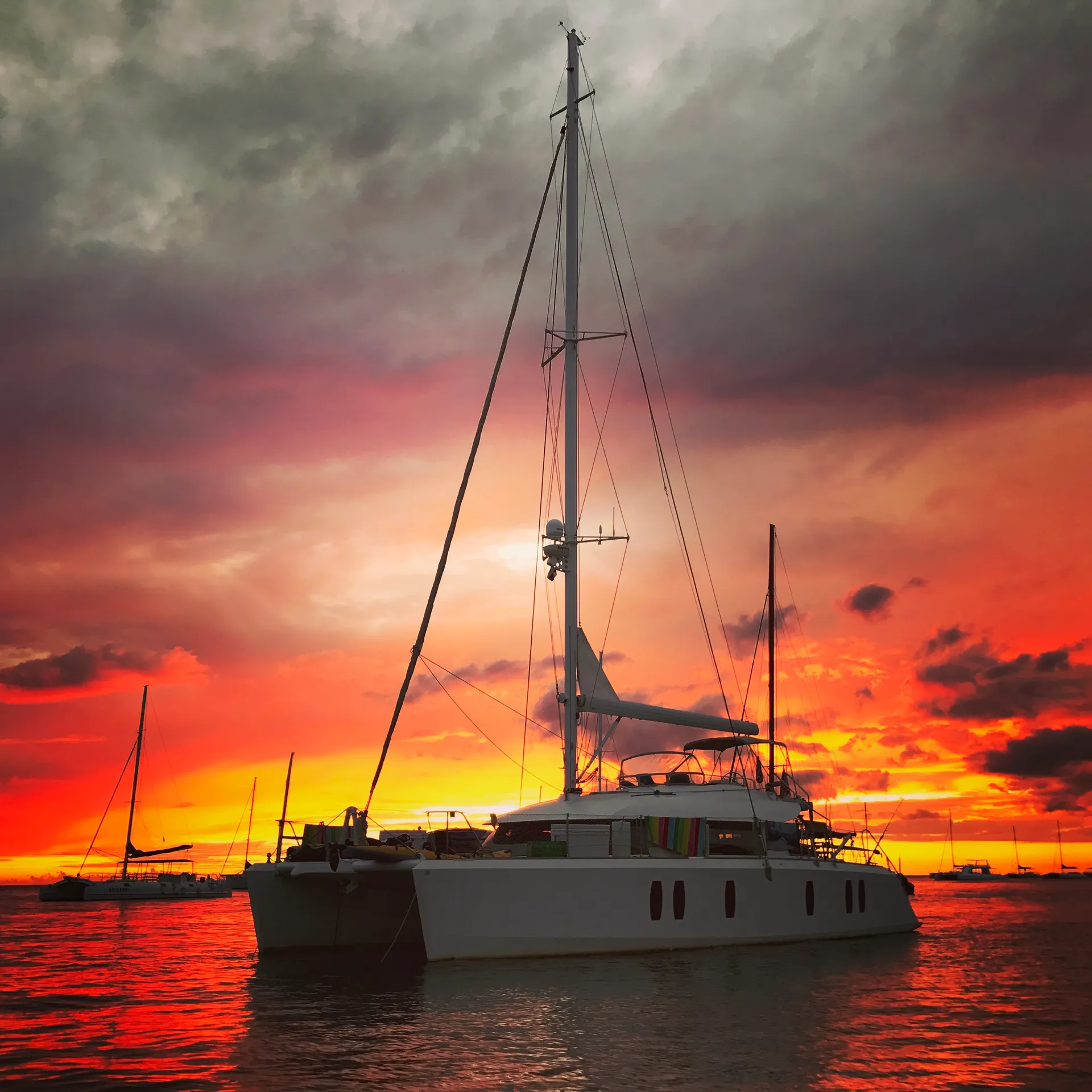 Private Luxury 50' Catamaran - Snorkelling, Sunset, Sailing, Dolphins!