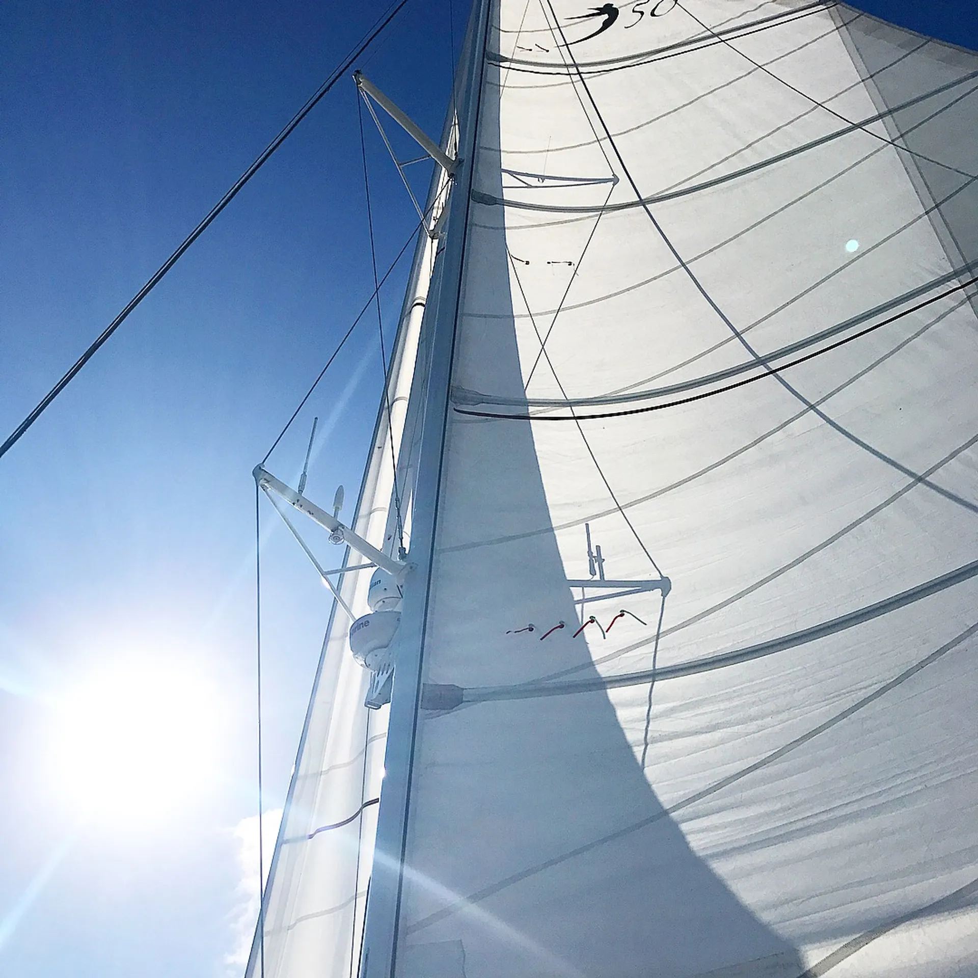 Private Luxury 50' Catamaran - Snorkelling, Sunset, Sailing, Dolphins!