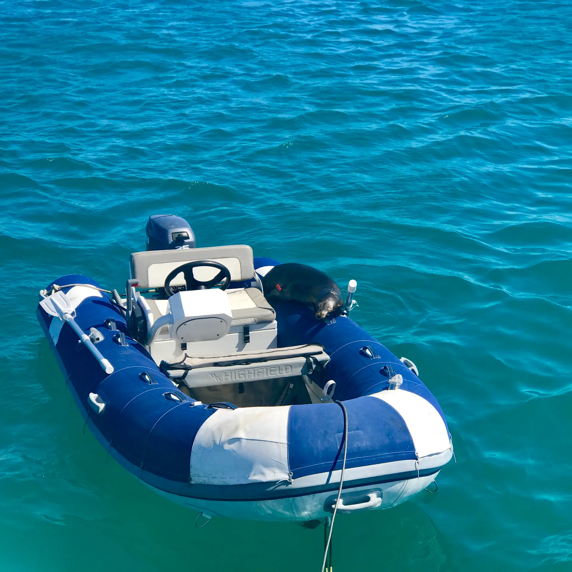 Private Luxury 50' Catamaran - Snorkelling, Sunset, Sailing, Dolphins!