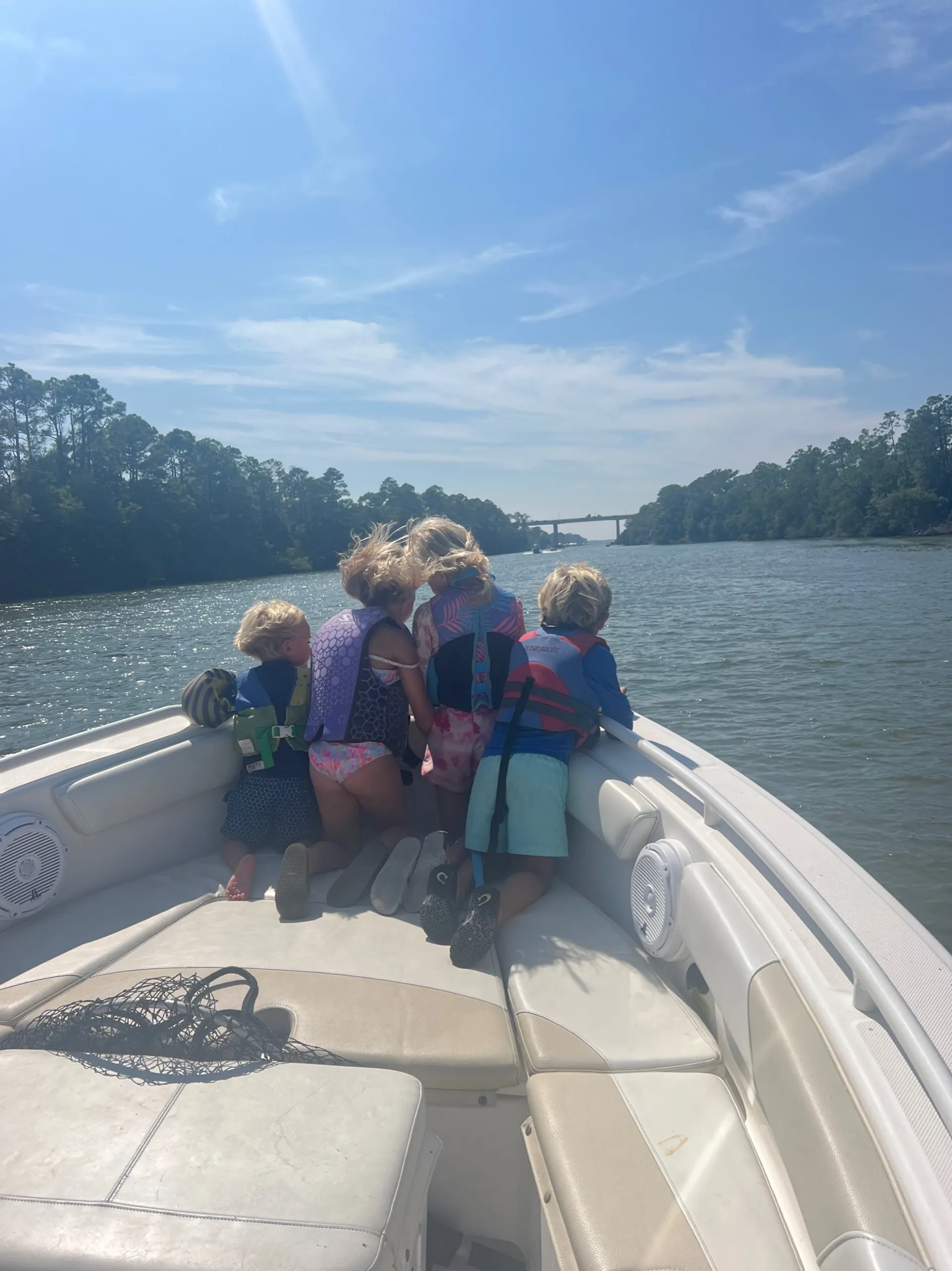 Everglades by Dougherty 243CC in Orange Beach, AL — photo 3