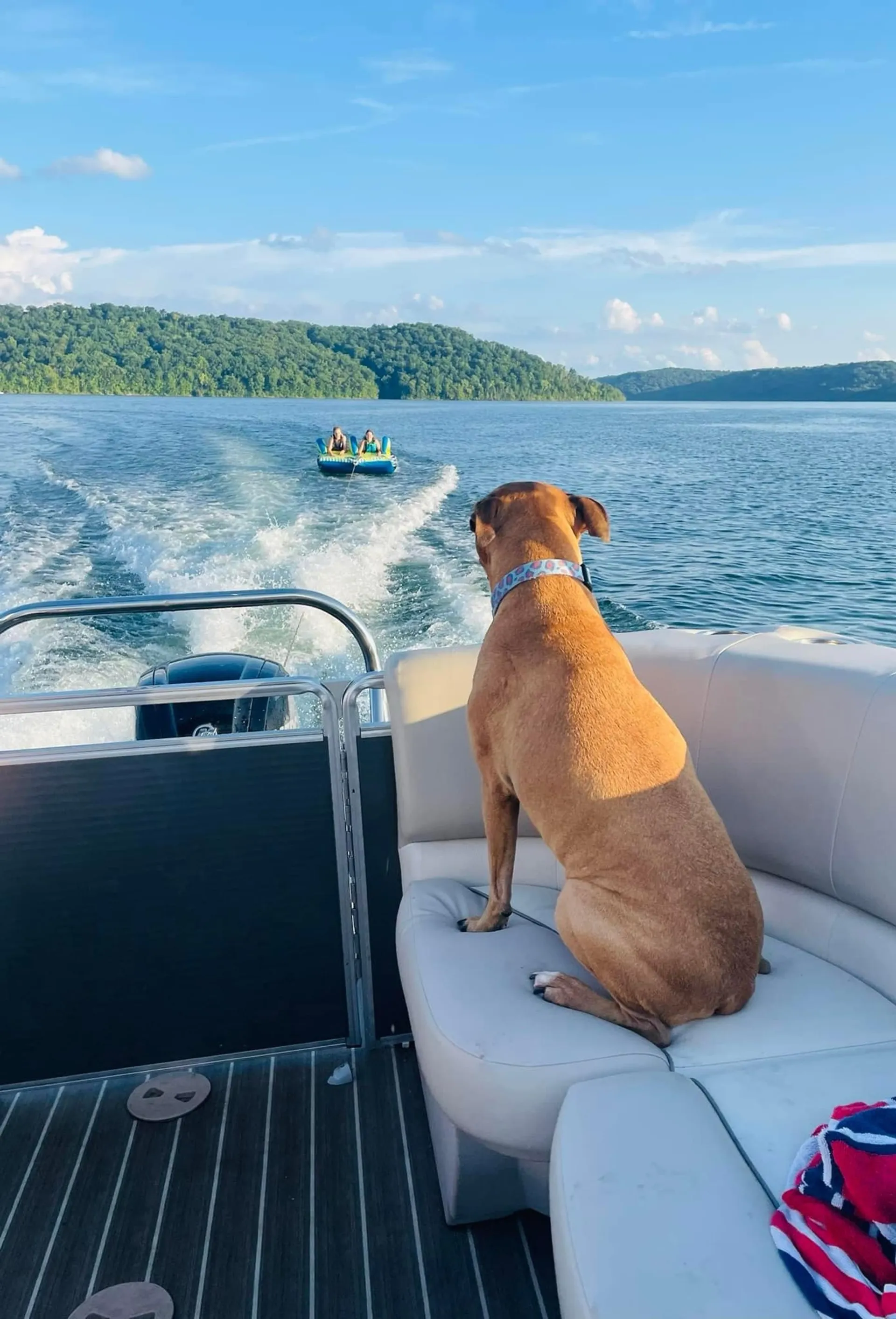 HARRIS FLOTEBOTE 220 CRUISER CX W/115ELPT 4-S in Harmony, IN