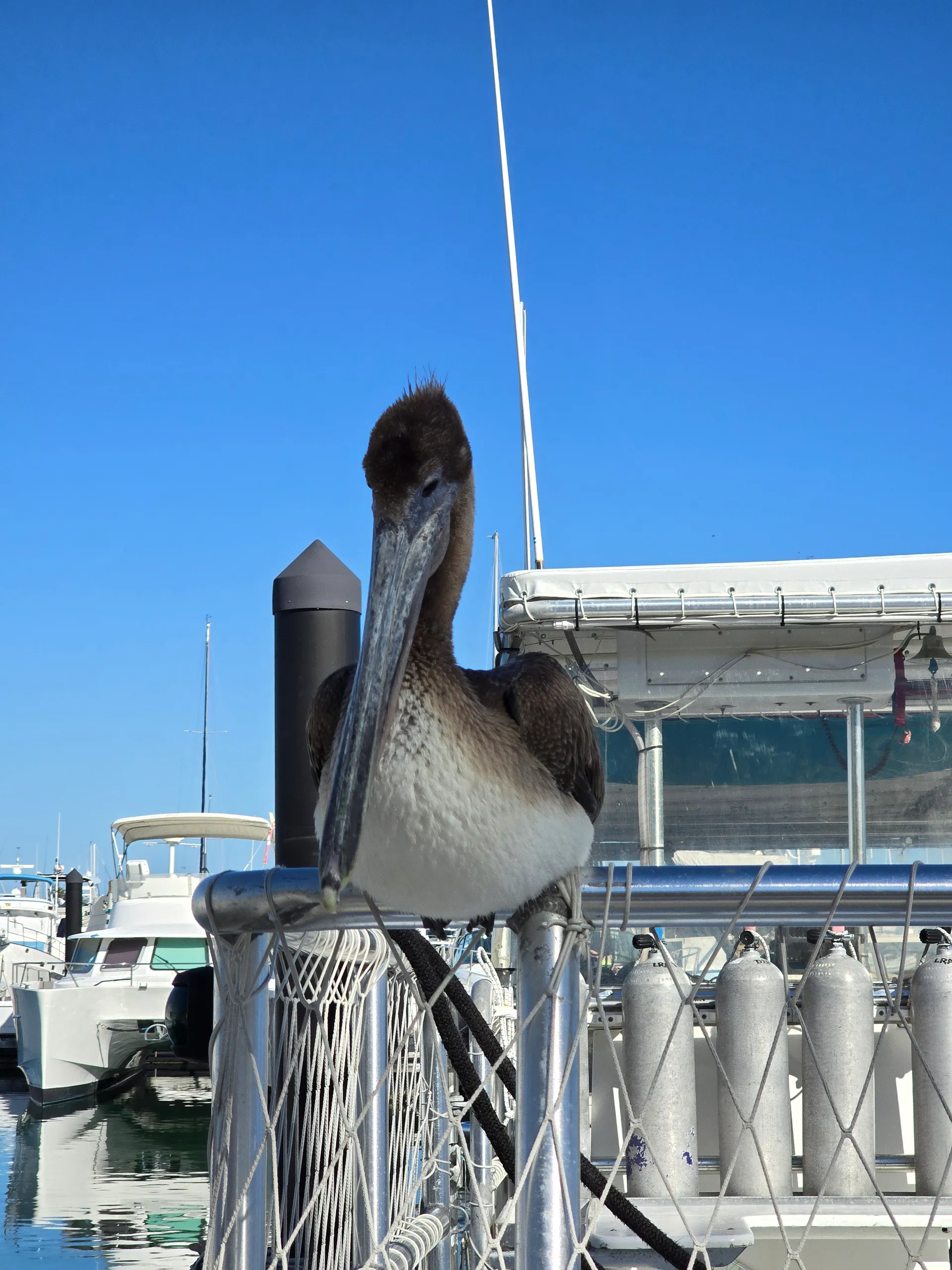 Best Ocean Adventure in Key West – Explore, Relax, Discover!