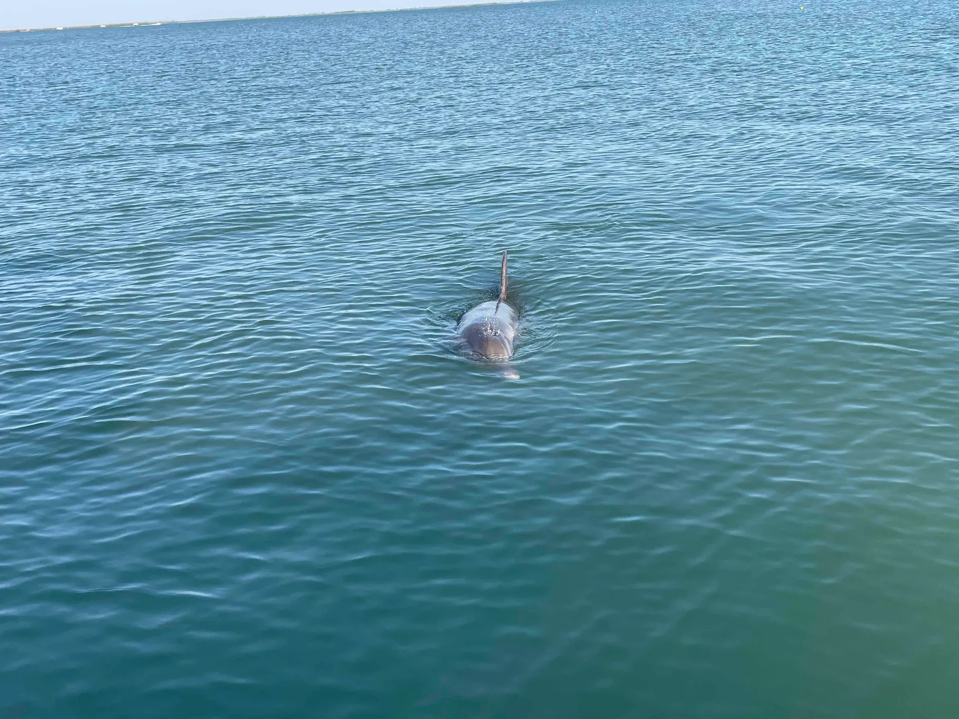 Beach, Sightseeing, Fishing, Family Fun 