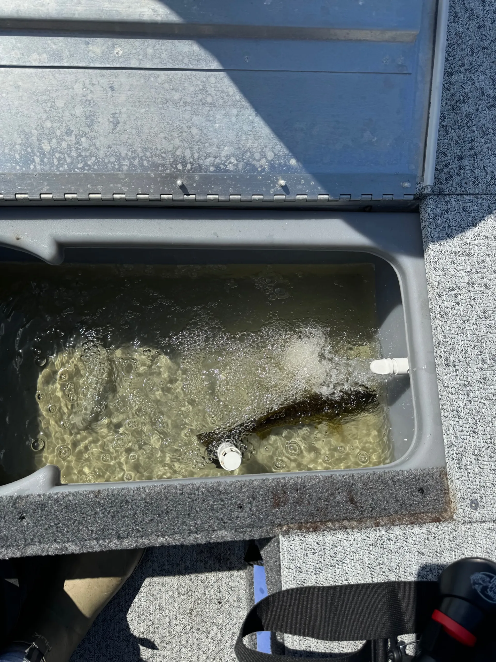 Tracker Pro 170 for fishing! - Delivery to East Lake Toho & Underhill