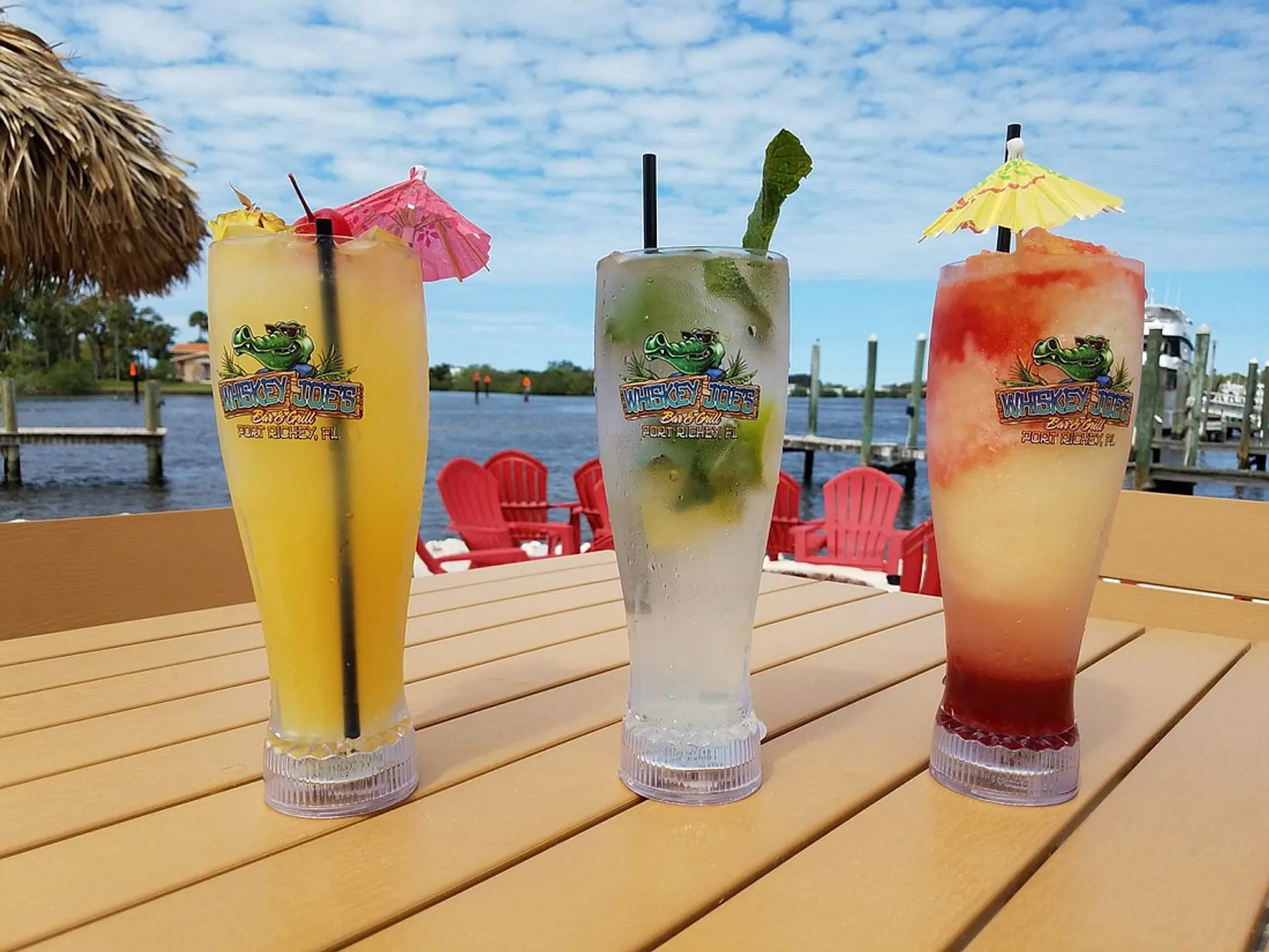 Fantastic Voyage on 2022 - 23’ Tritoon - up to 12 passengers + fishing