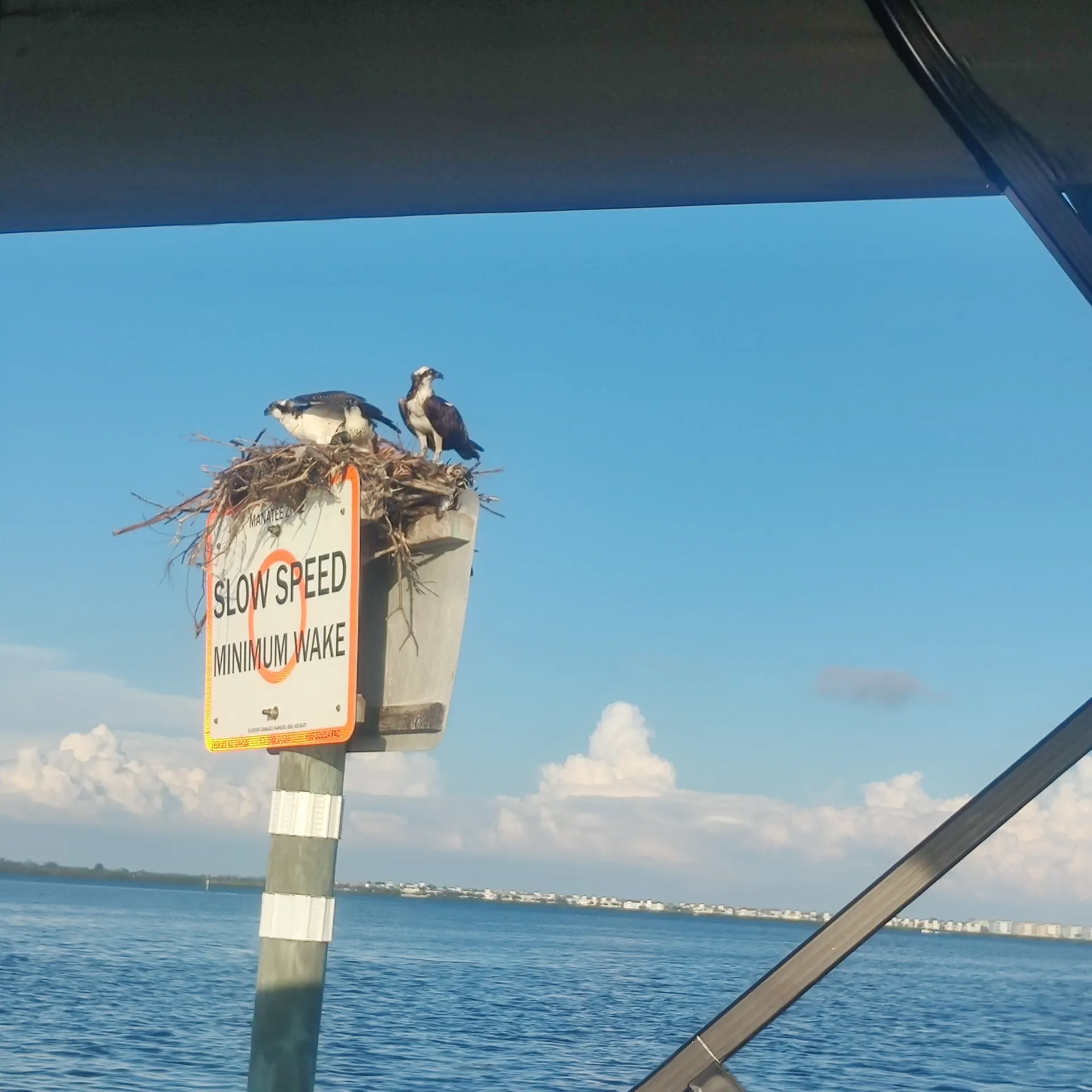 Fantastic Voyage on 2022 - 23’ Tritoon - up to 12 passengers + fishing