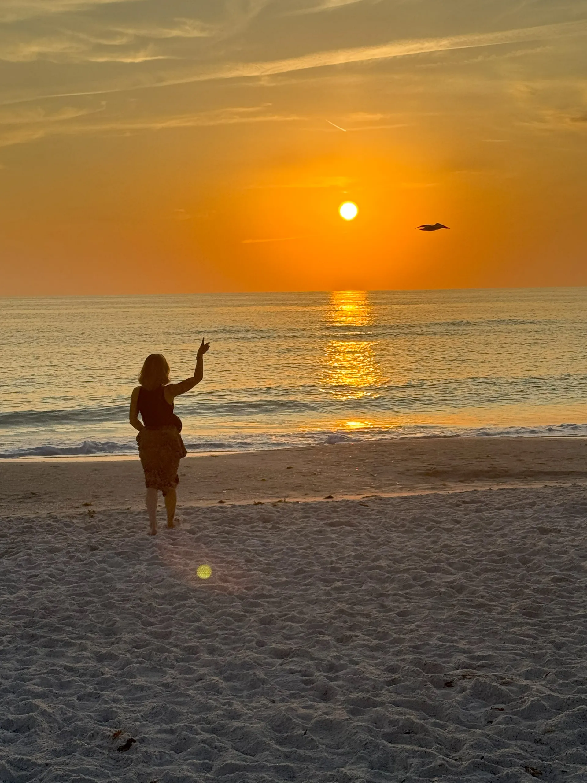 Fantastic Voyage on 2022 - 23’ Tritoon - up to 12 passengers + fishing