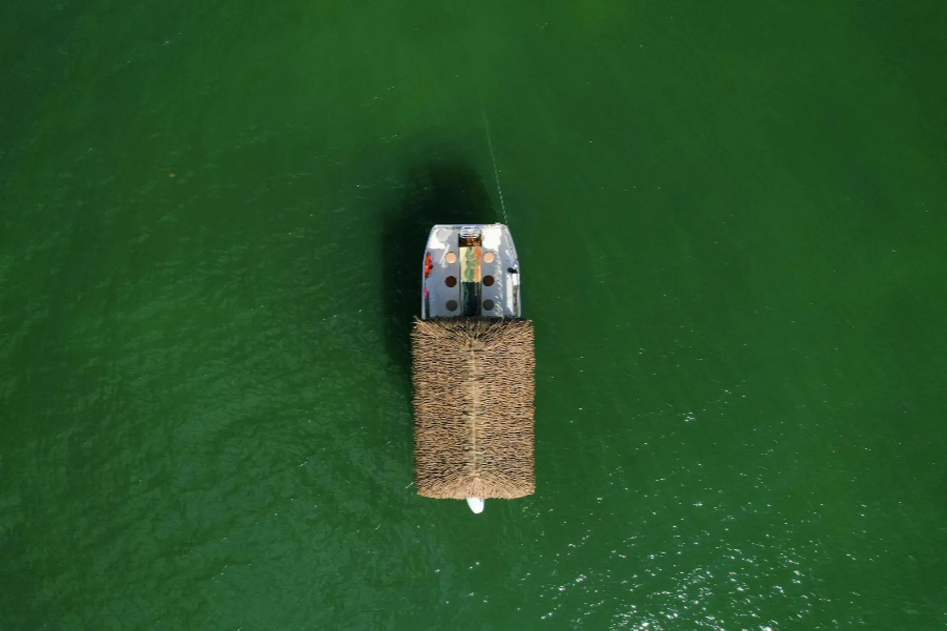 Tiki International Pink Flamingo in Miami, FL — photo 8