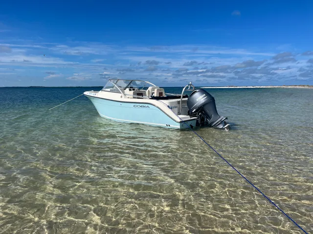 Rent a Cobia dual console in Tarpon Springs, FL near me