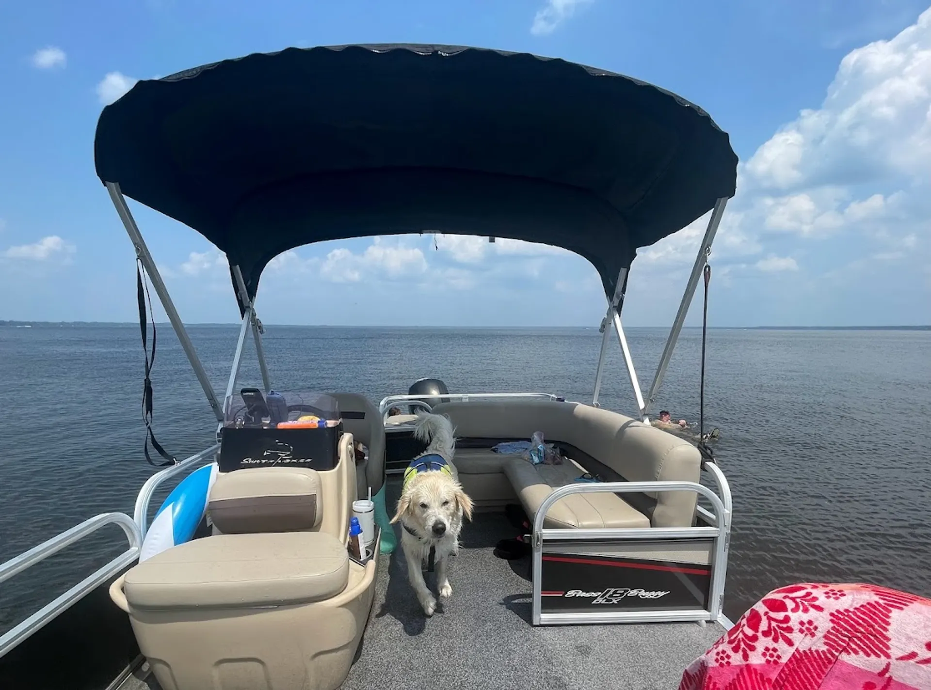 5 ⭐️ owner! Fish, Swim, Cruise, Relax on our Pontoon! 