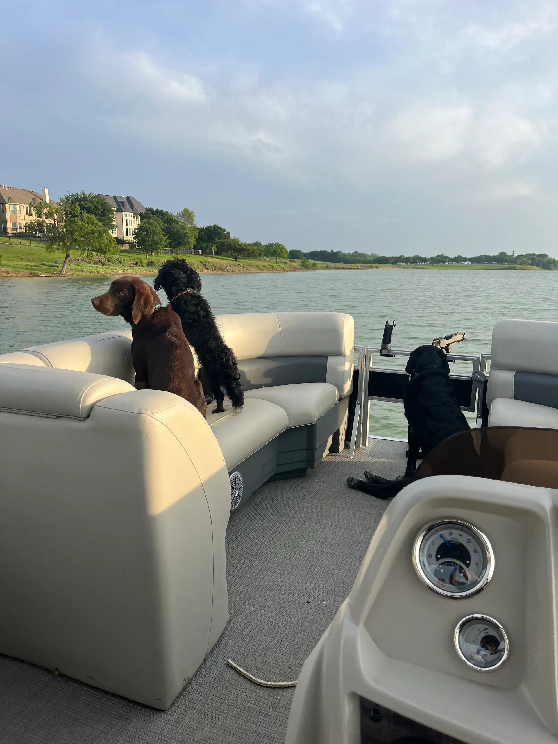 SUNCHASER GENEVA FISH 22 4.0 TRITOON in The Colony, TX — photo 5