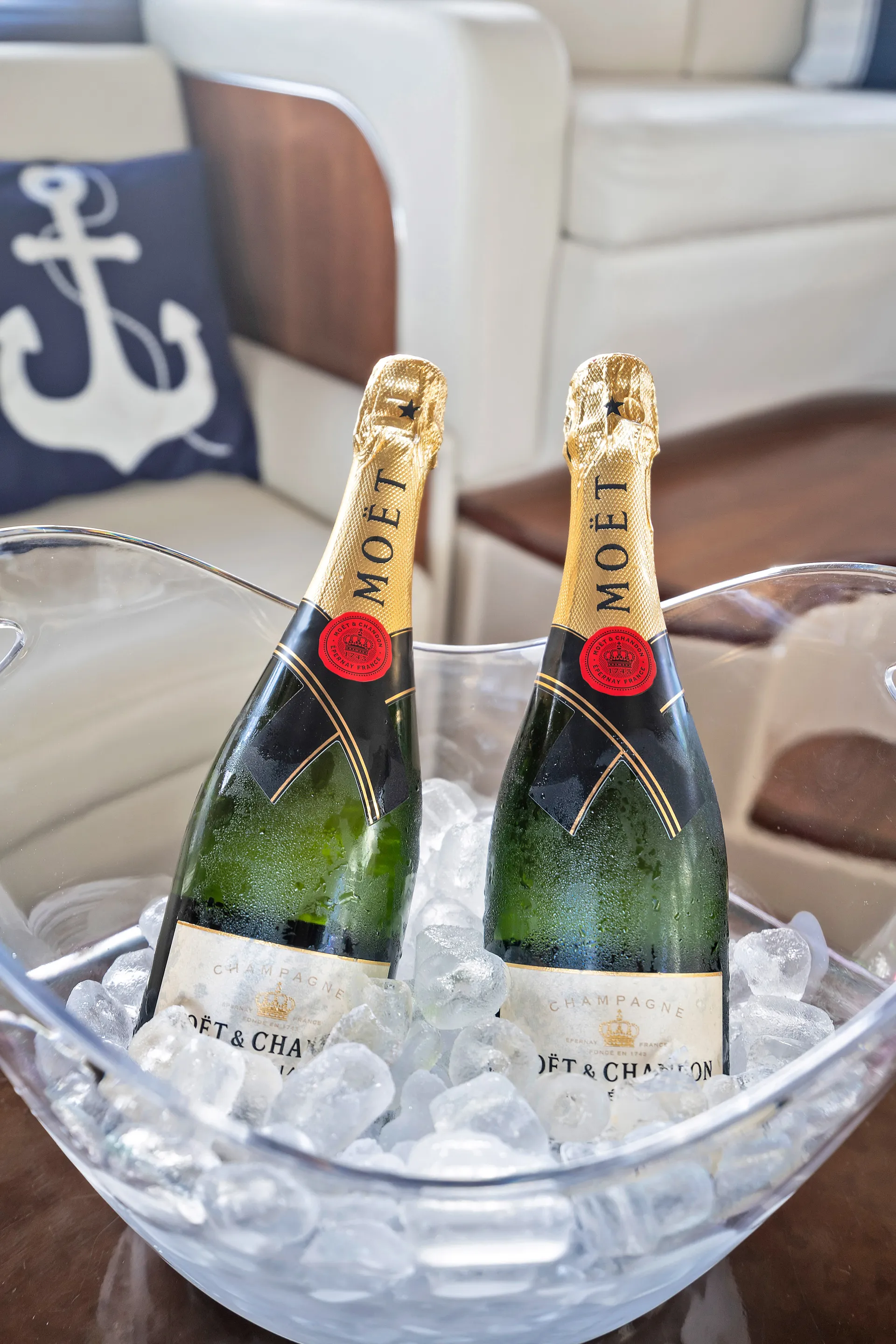 46' Flybridge Great for Birthdays • 13 Guests