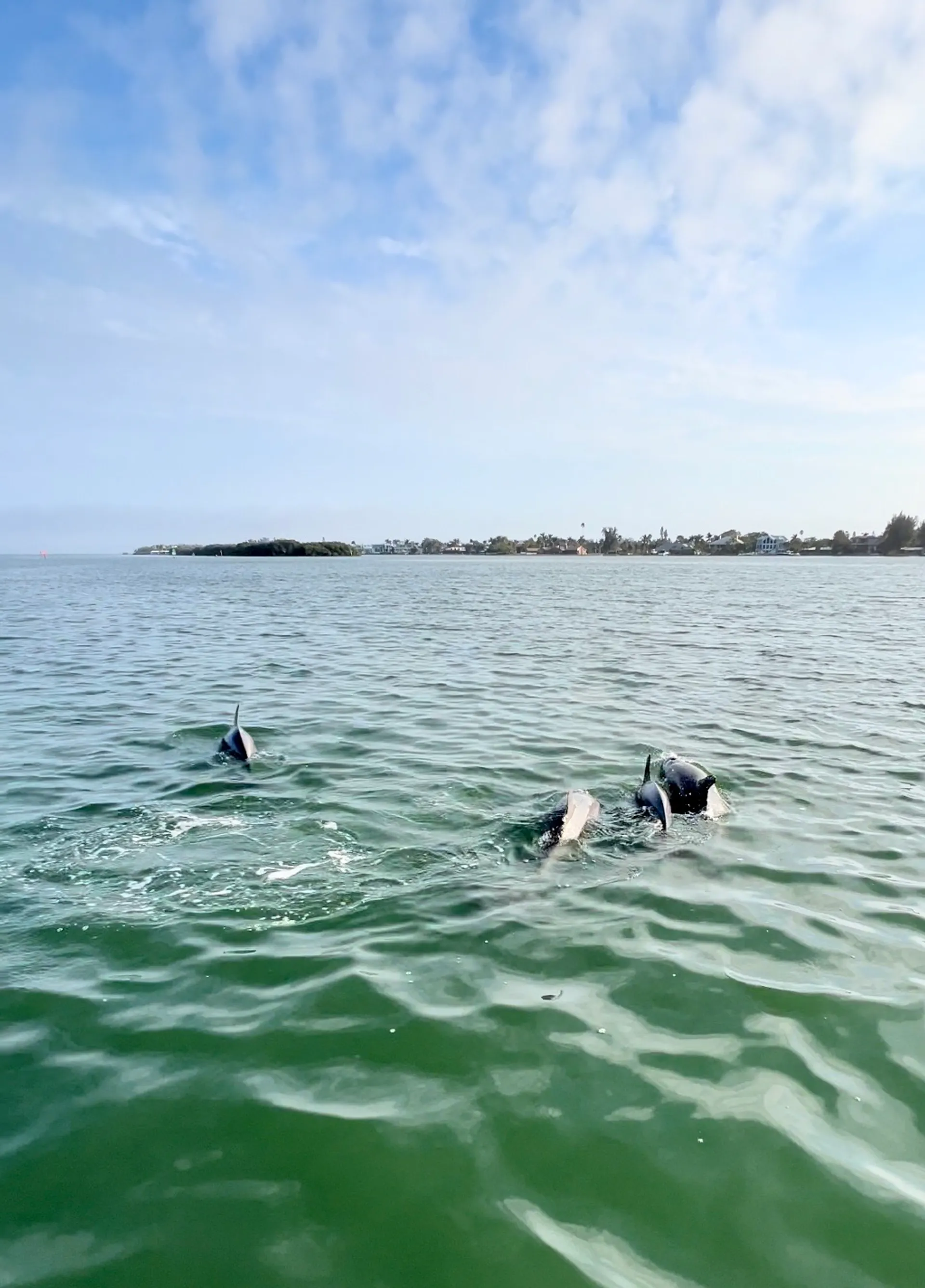 Large Pontoon Boat In Bradenton Manatee