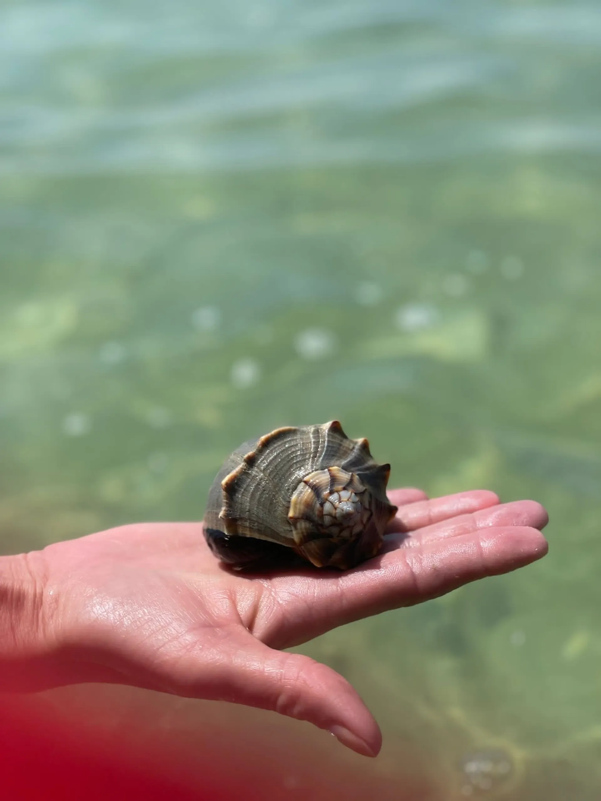 Super Comfy 22’ Pontoon In Bradenton / fuel Included!