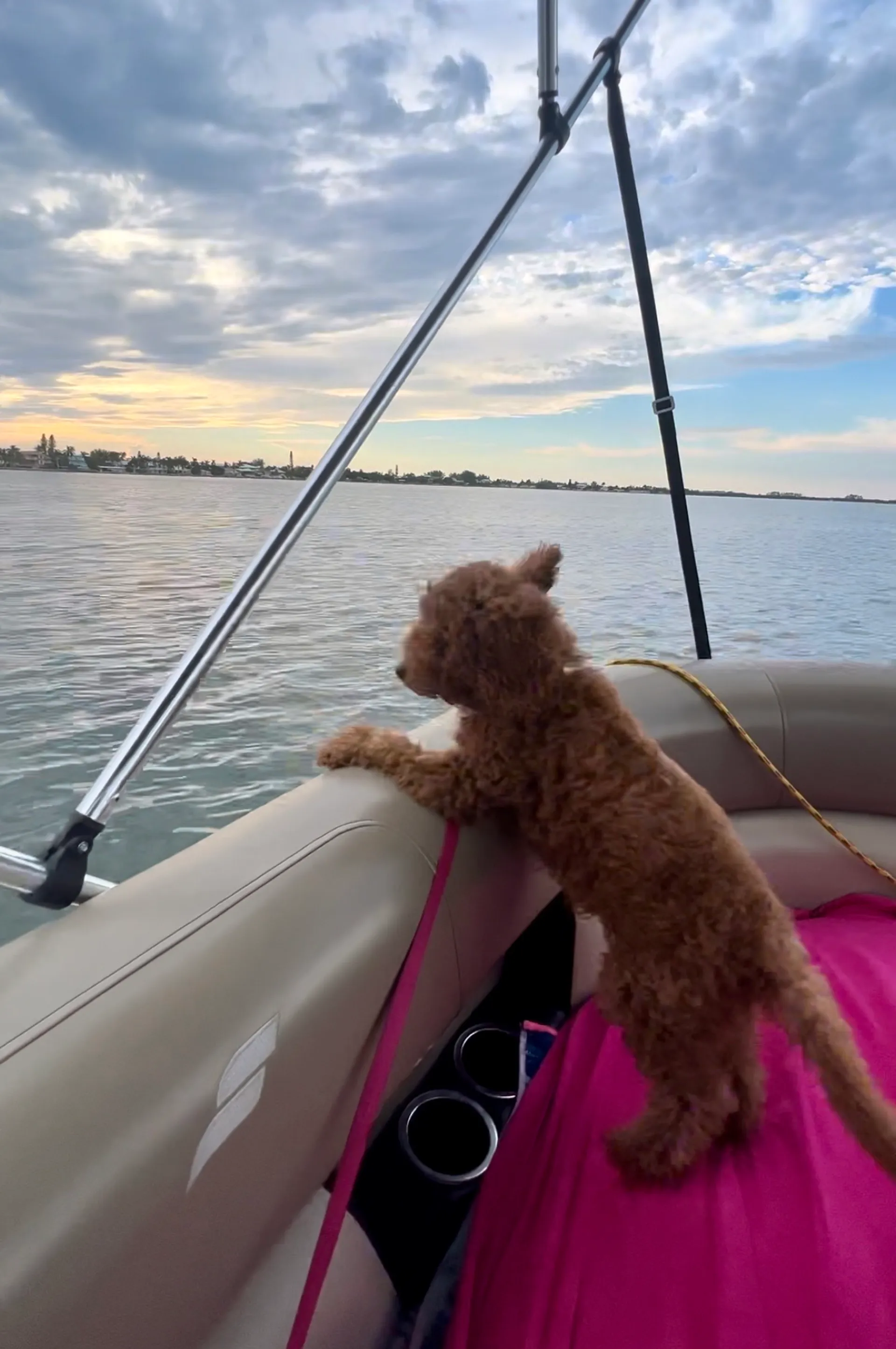 Super Comfy 22’ Pontoon In Bradenton / fuel Included!