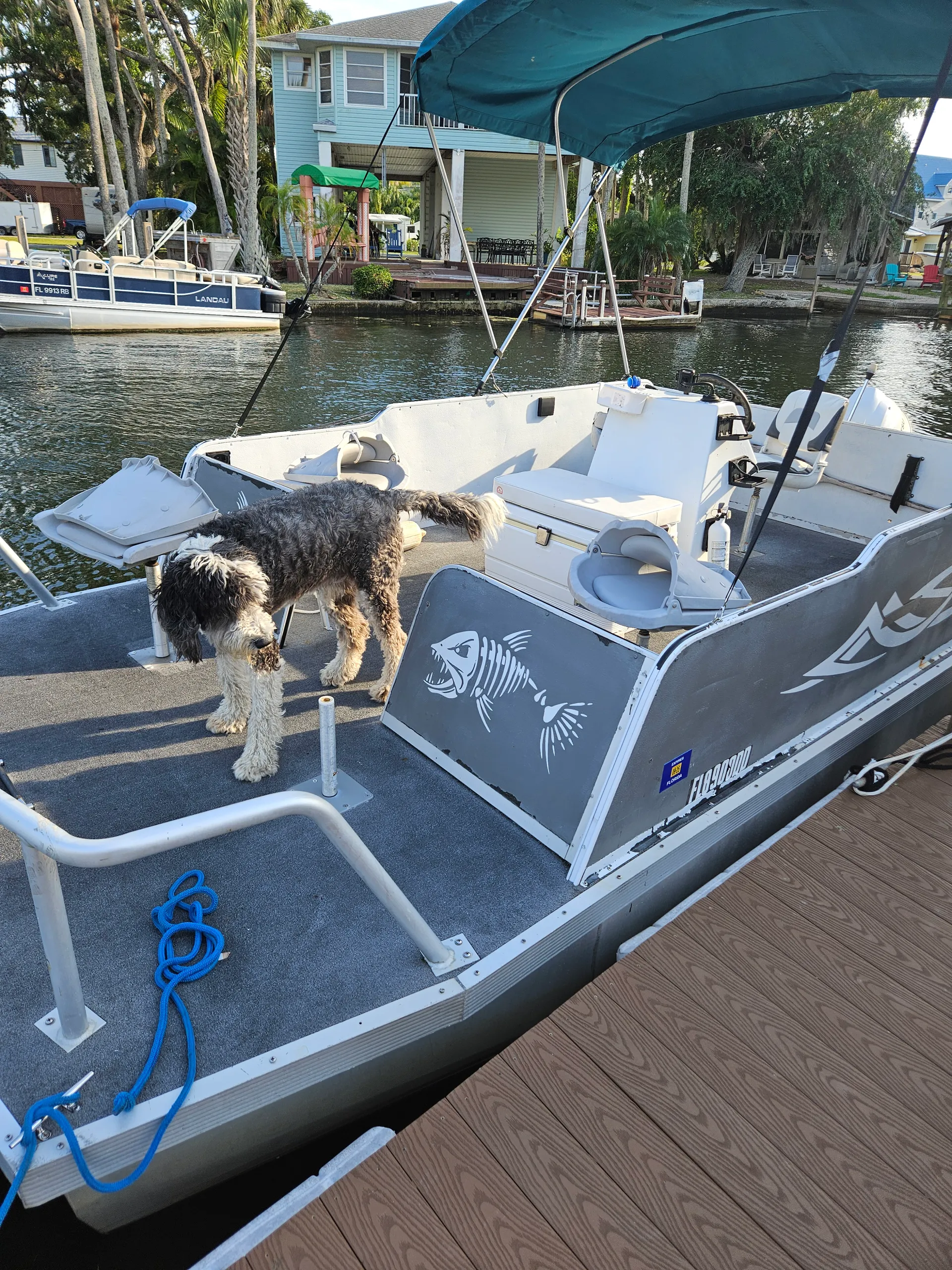 boat