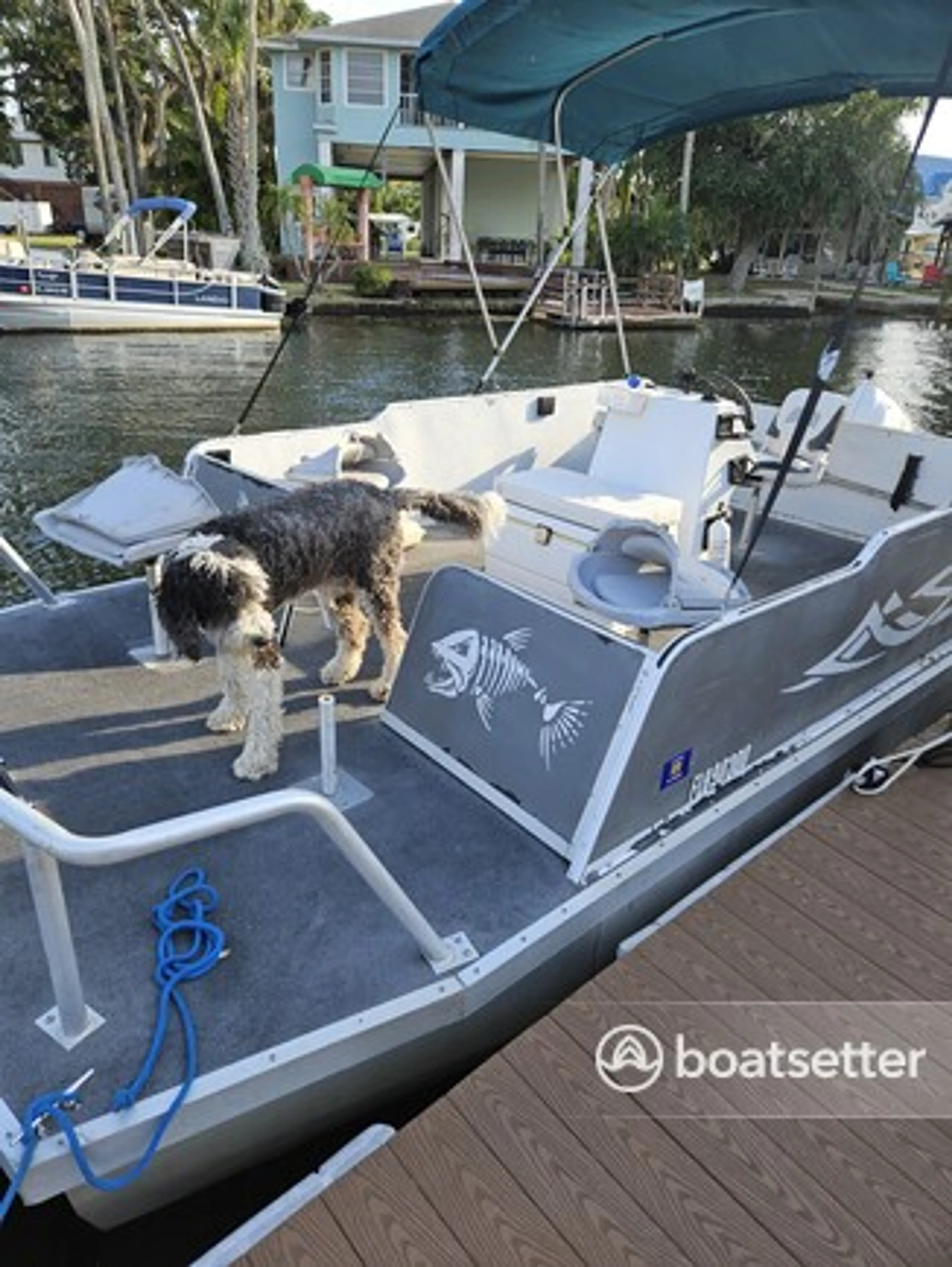 boat