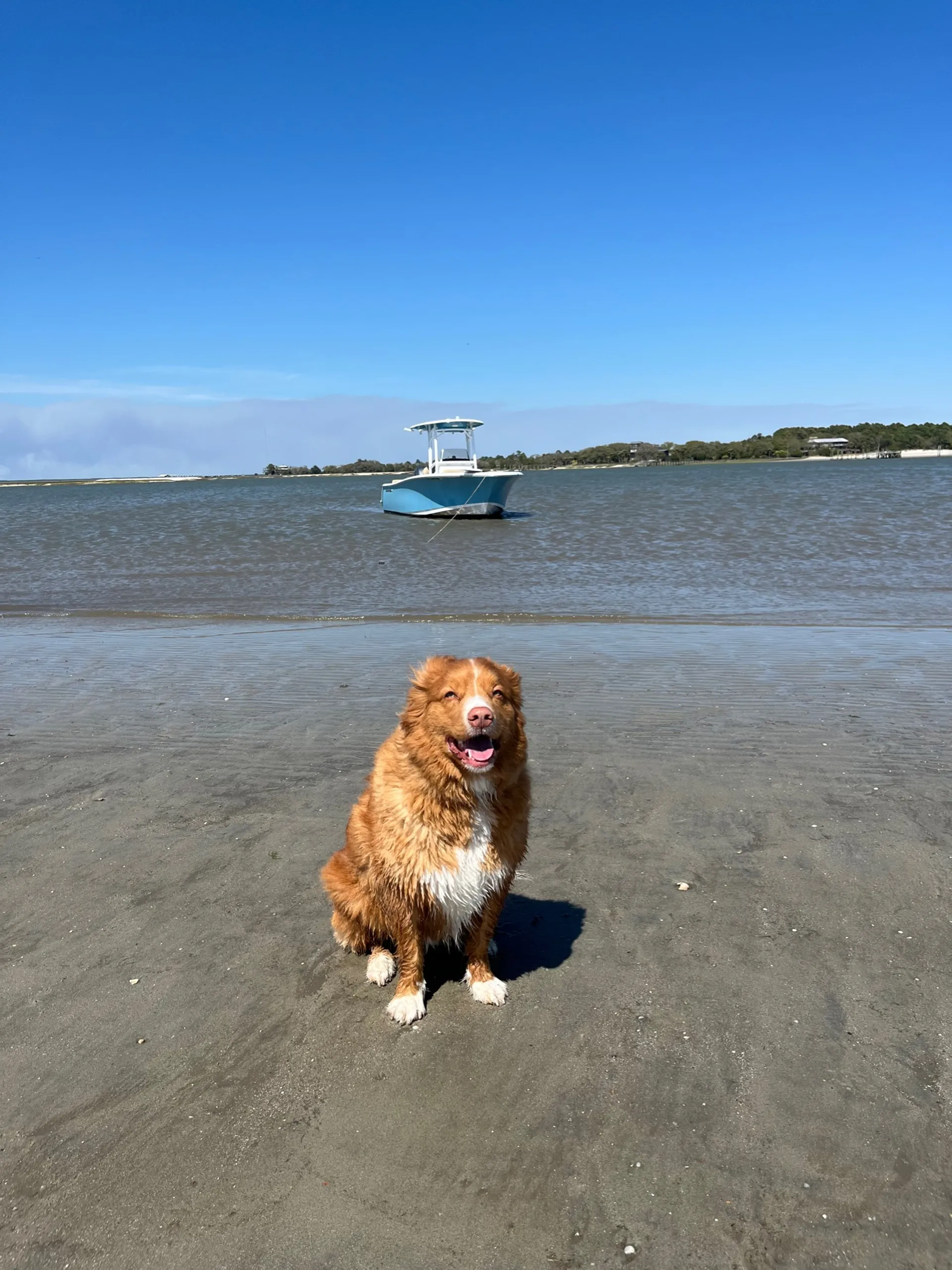 Sportsman Boats Heritage 231 w/F200XA Yamaha in Mount Pleasant, SC — photo 5