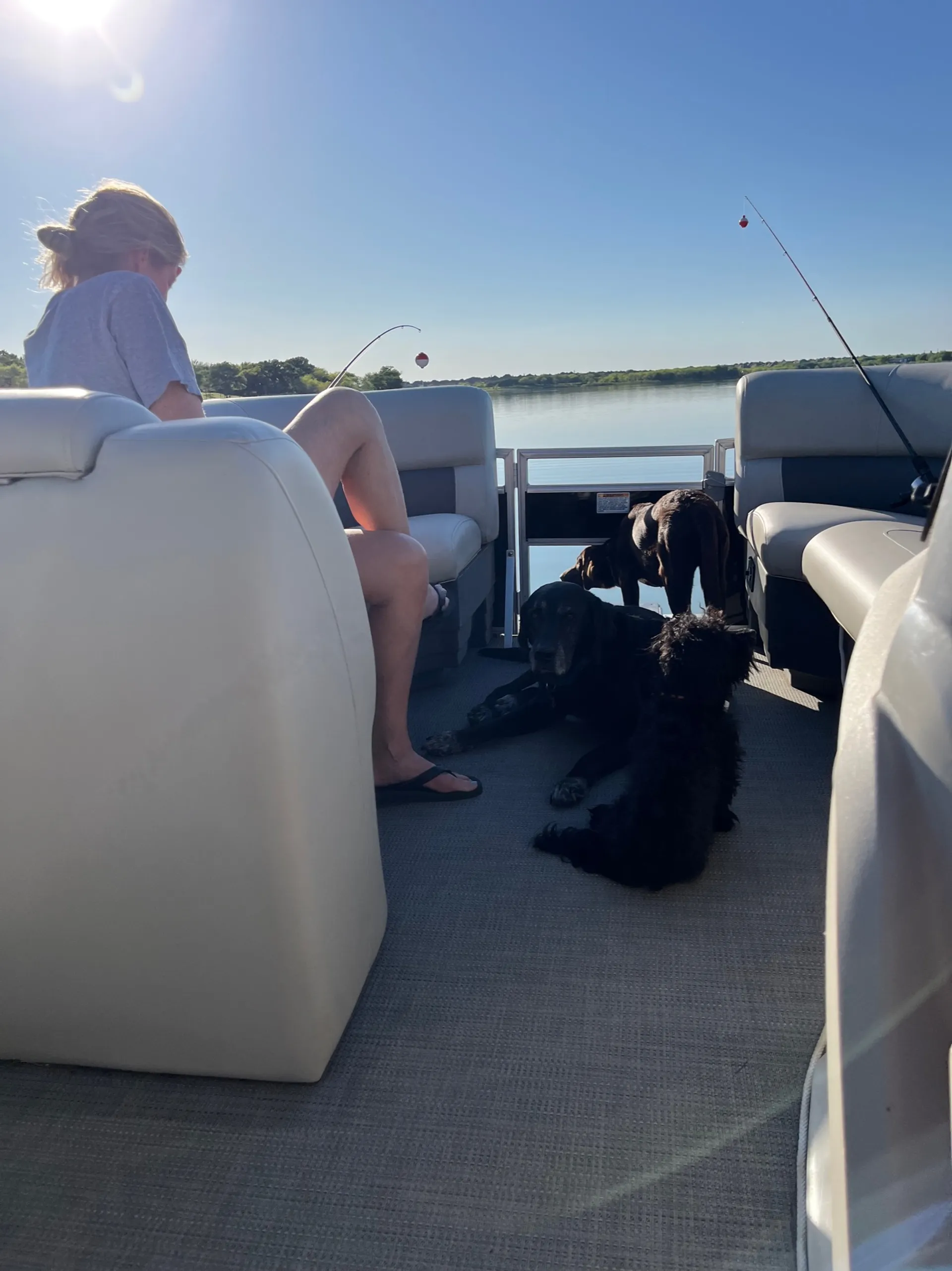 SUNCHASER GENEVA FISH 22 4.0 TRITOON in The Colony, TX — photo 10