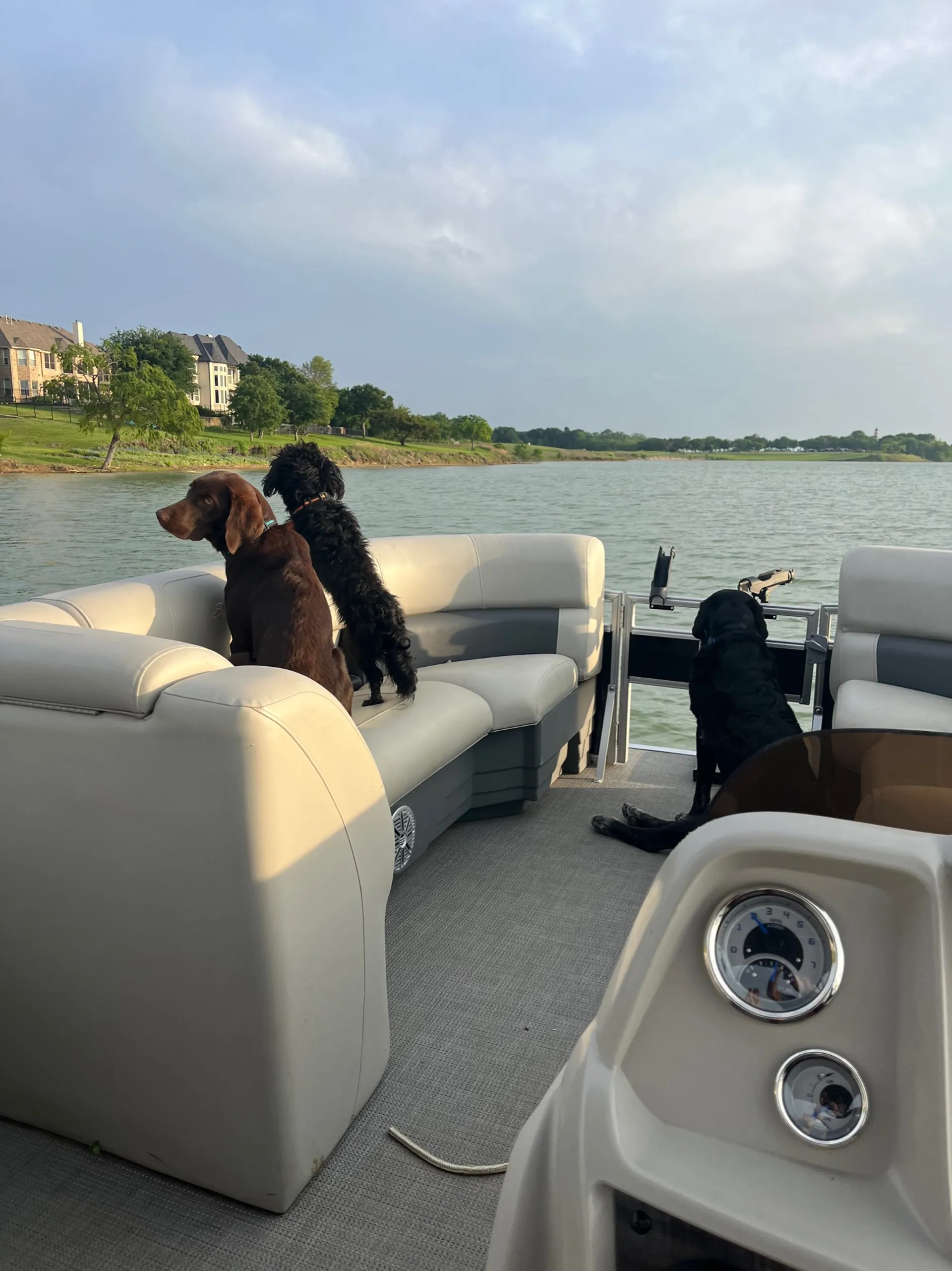 SUNCHASER GENEVA FISH 22 4.0 TRITOON in The Colony, TX — photo 9