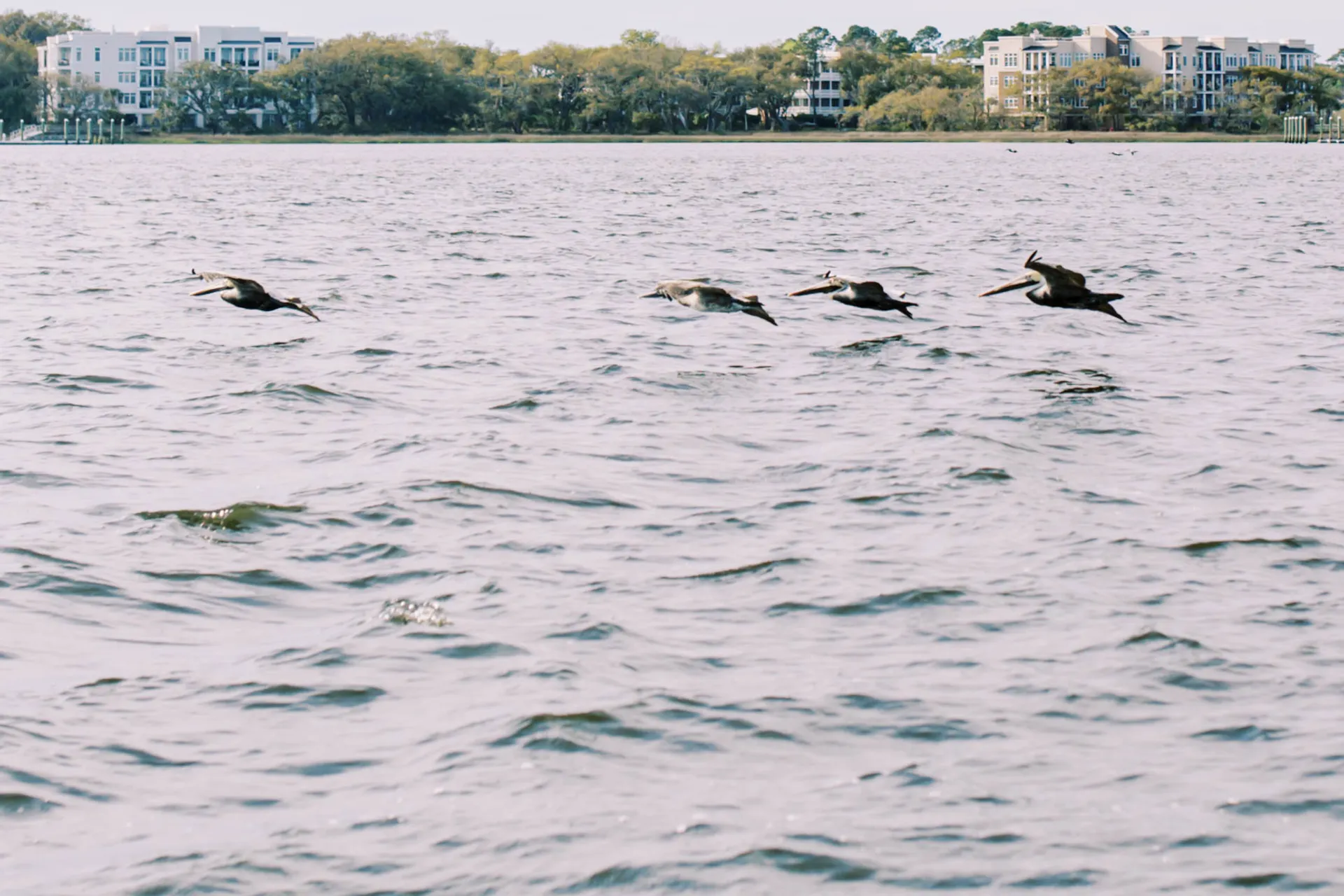 Beautiful Chaparral Boat for a perfect leisure day! 