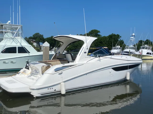 Rent a Sea Ray Boats cruiser in Charleston, SC near me