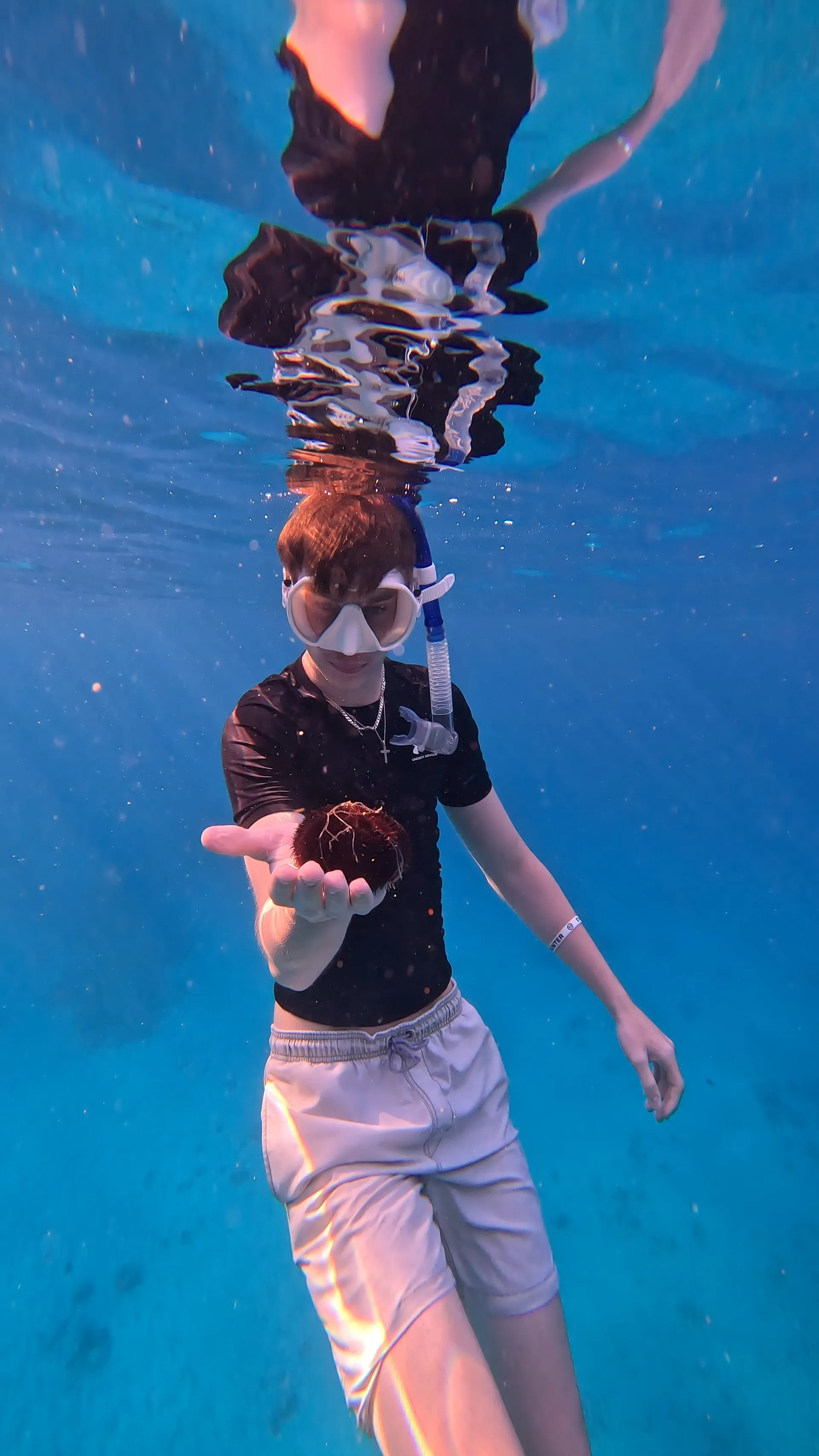 Turtle Canyon Snorkel PRIVATE TOUR