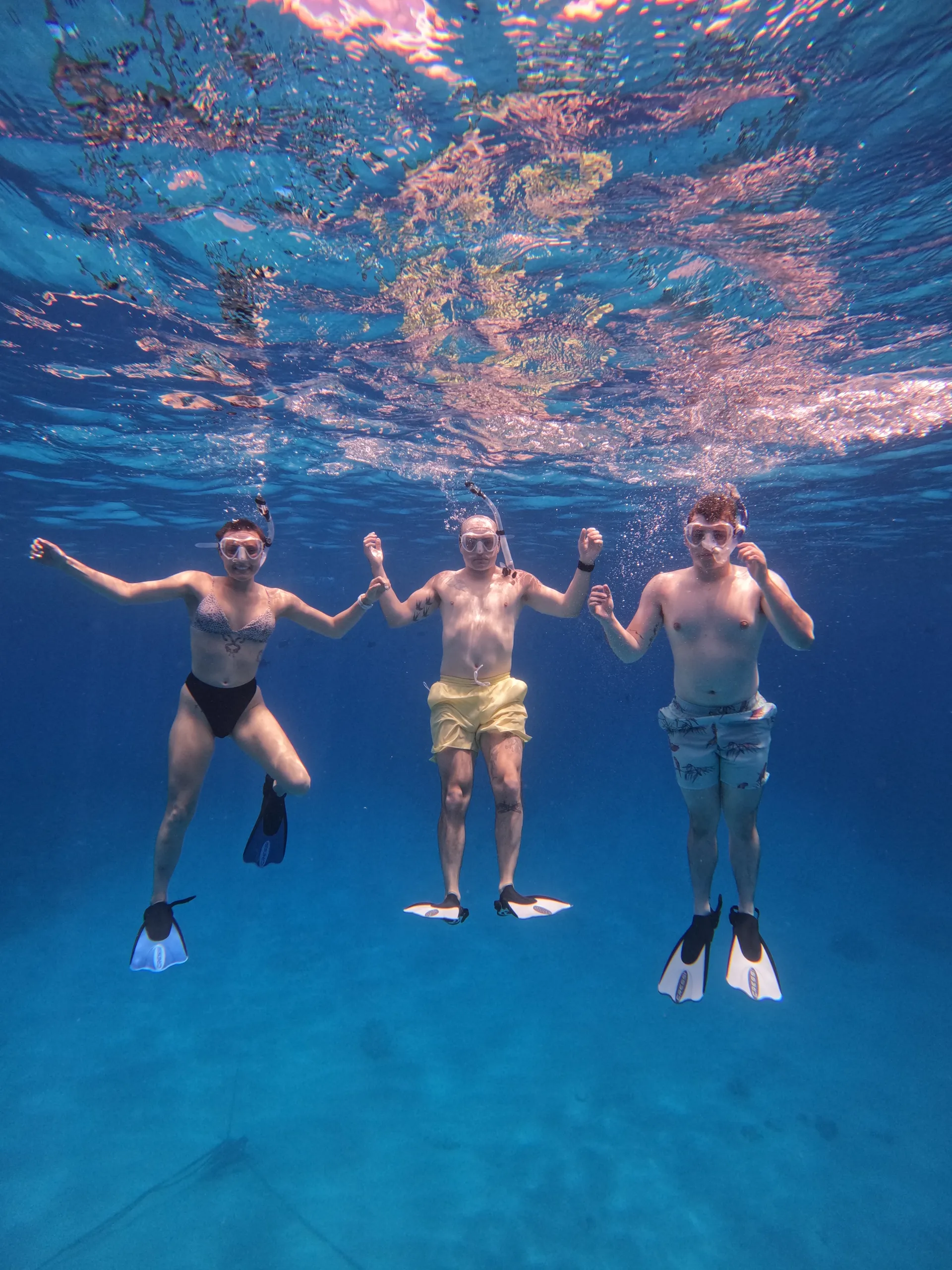 Turtle Canyon Snorkel PRIVATE TOUR