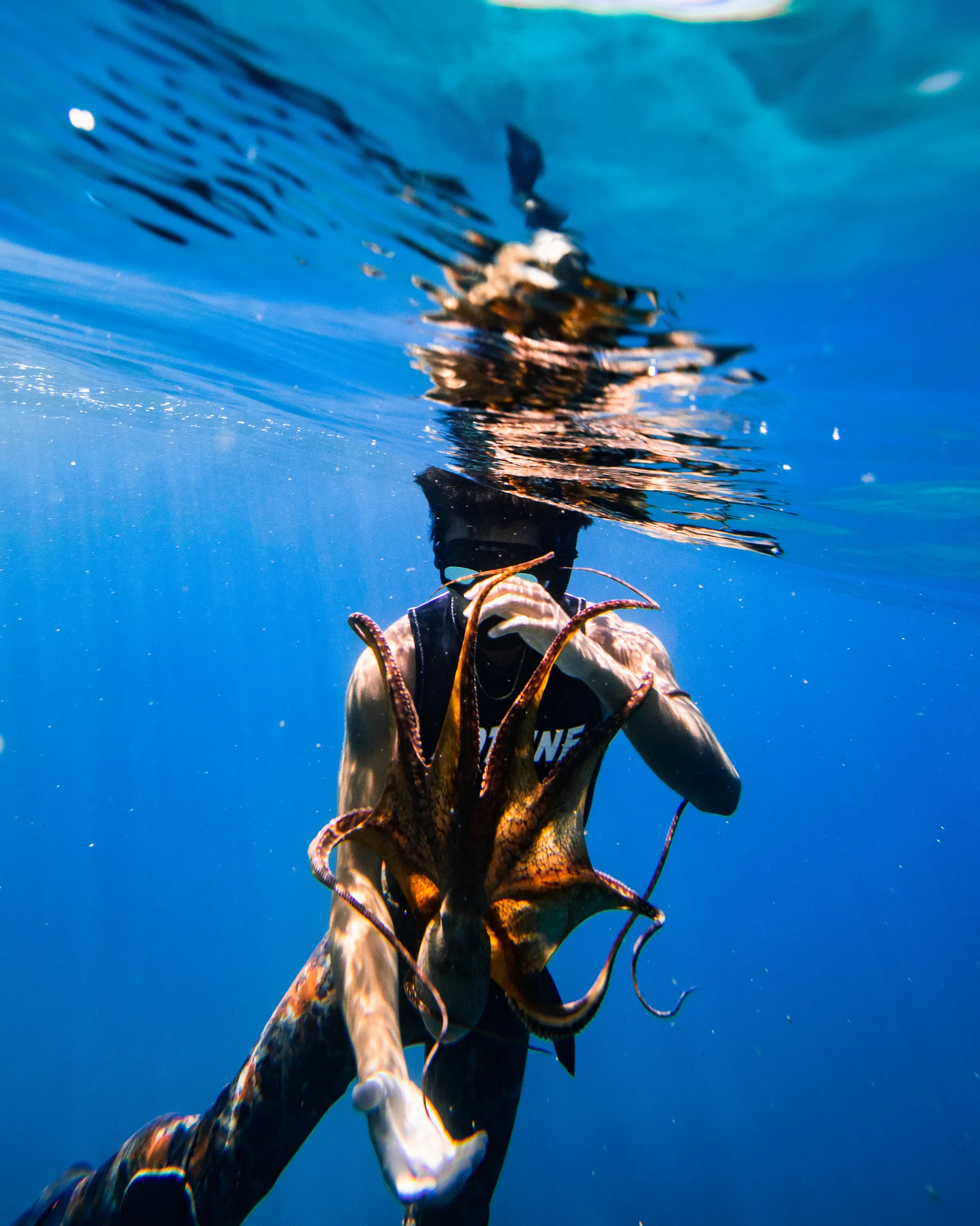 Turtle Canyon Snorkel PRIVATE TOUR