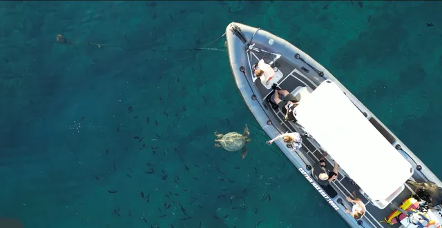 Rent a XS RIB inflatable outboard in Honolulu, HI near me