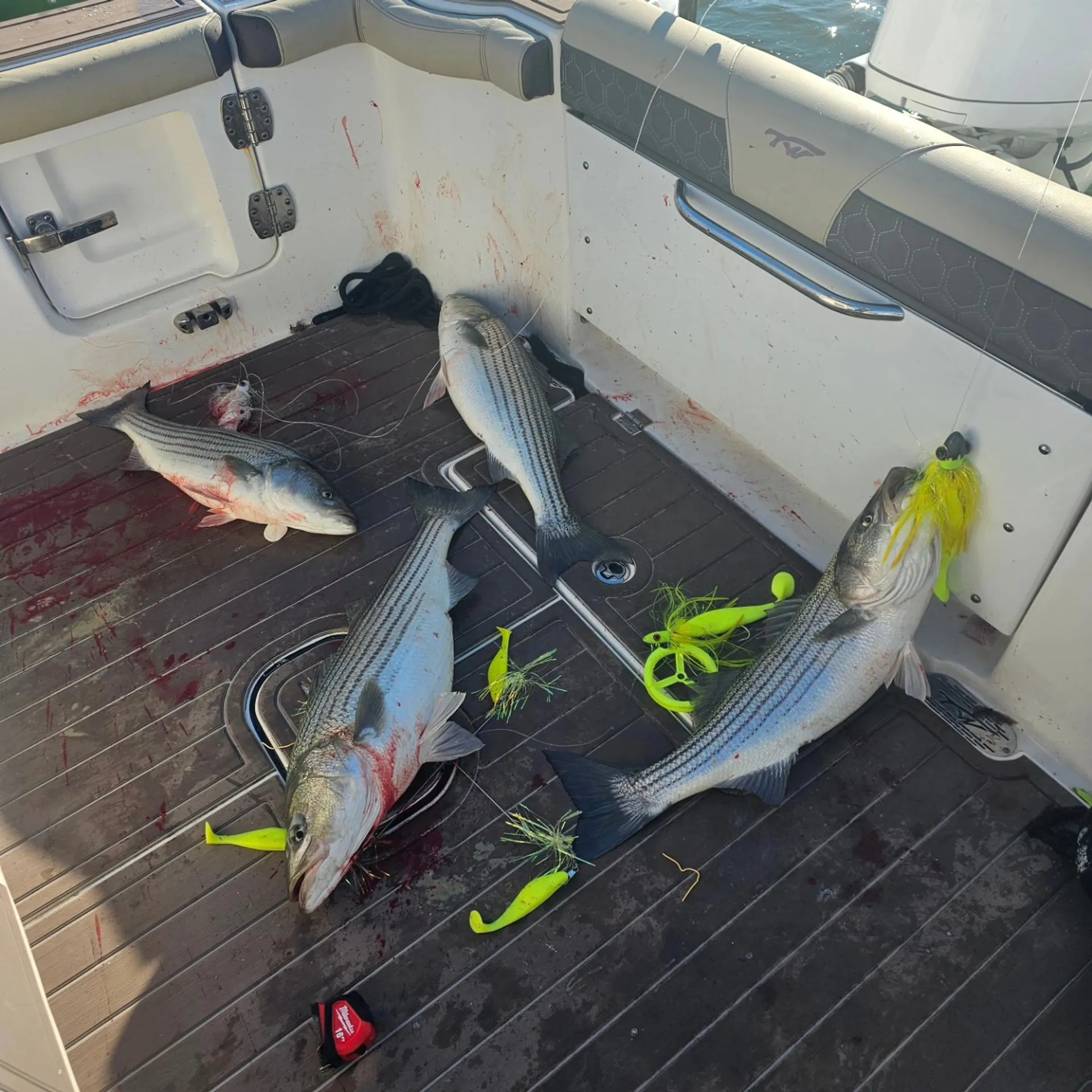 2020 Tidewater 272cc Adventure Custom