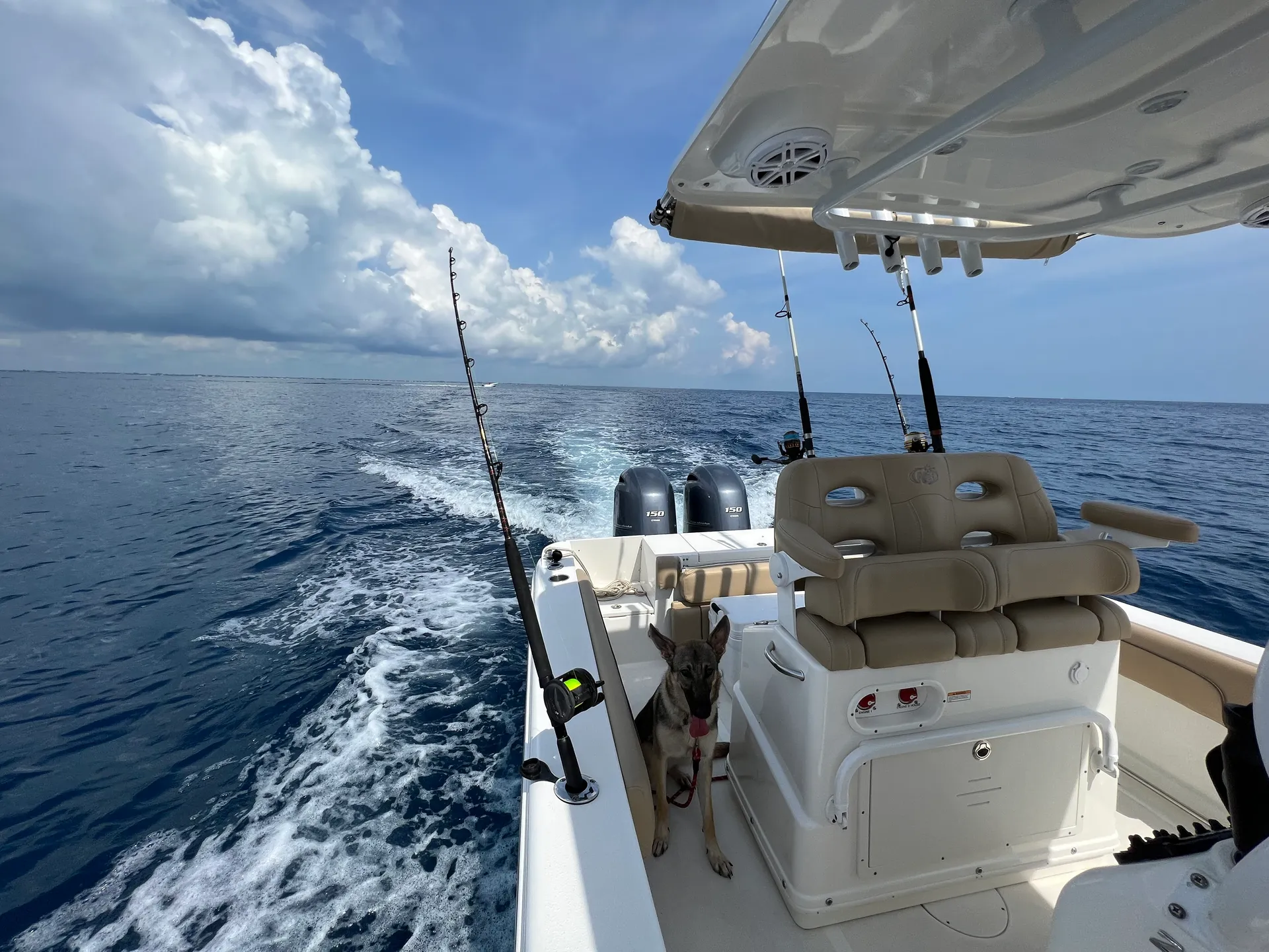 25' Twin Engine Center Console - Perfect for Sandbar or Fishing!
