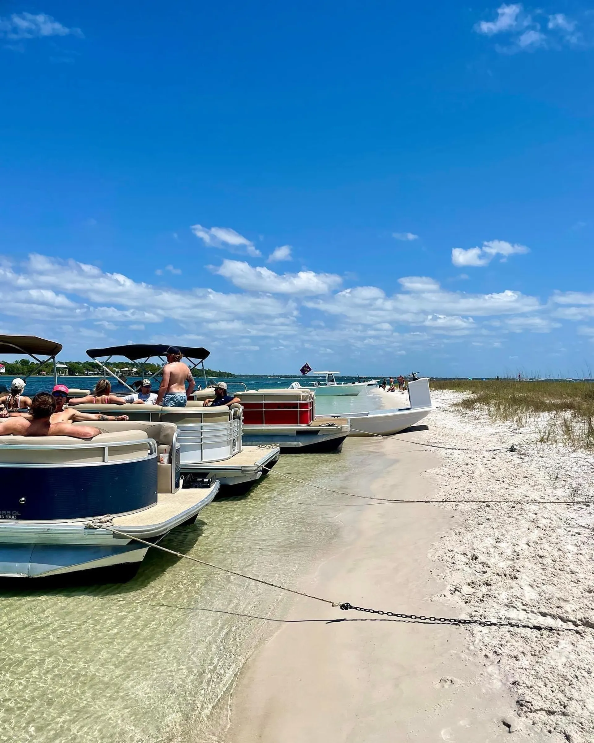 AVALON PONTOONS 25' LSZ CRUISE in Panama City, FL — photo 3