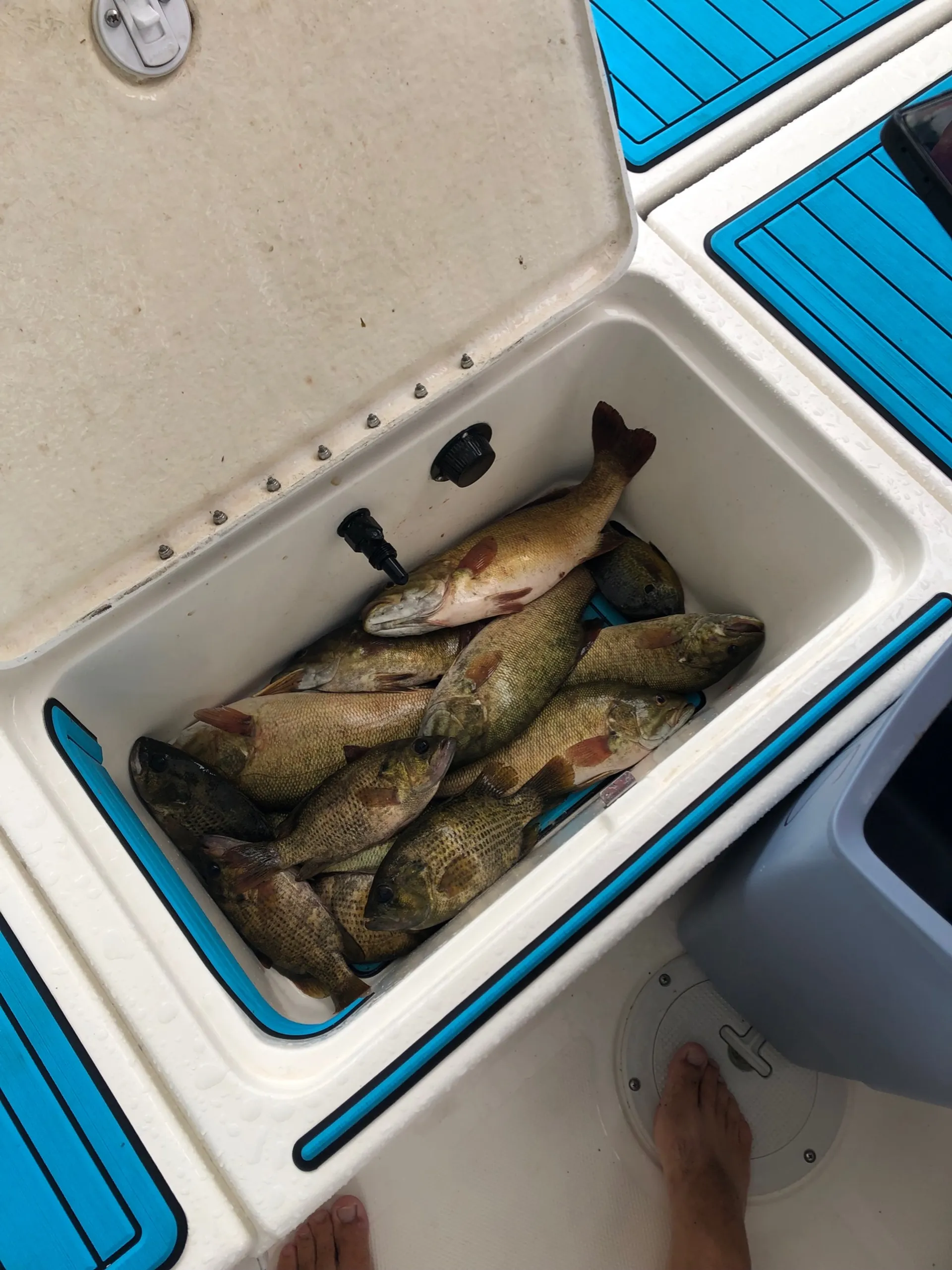 The ultimate Keuka Lake fishing boat and pleasure boat 